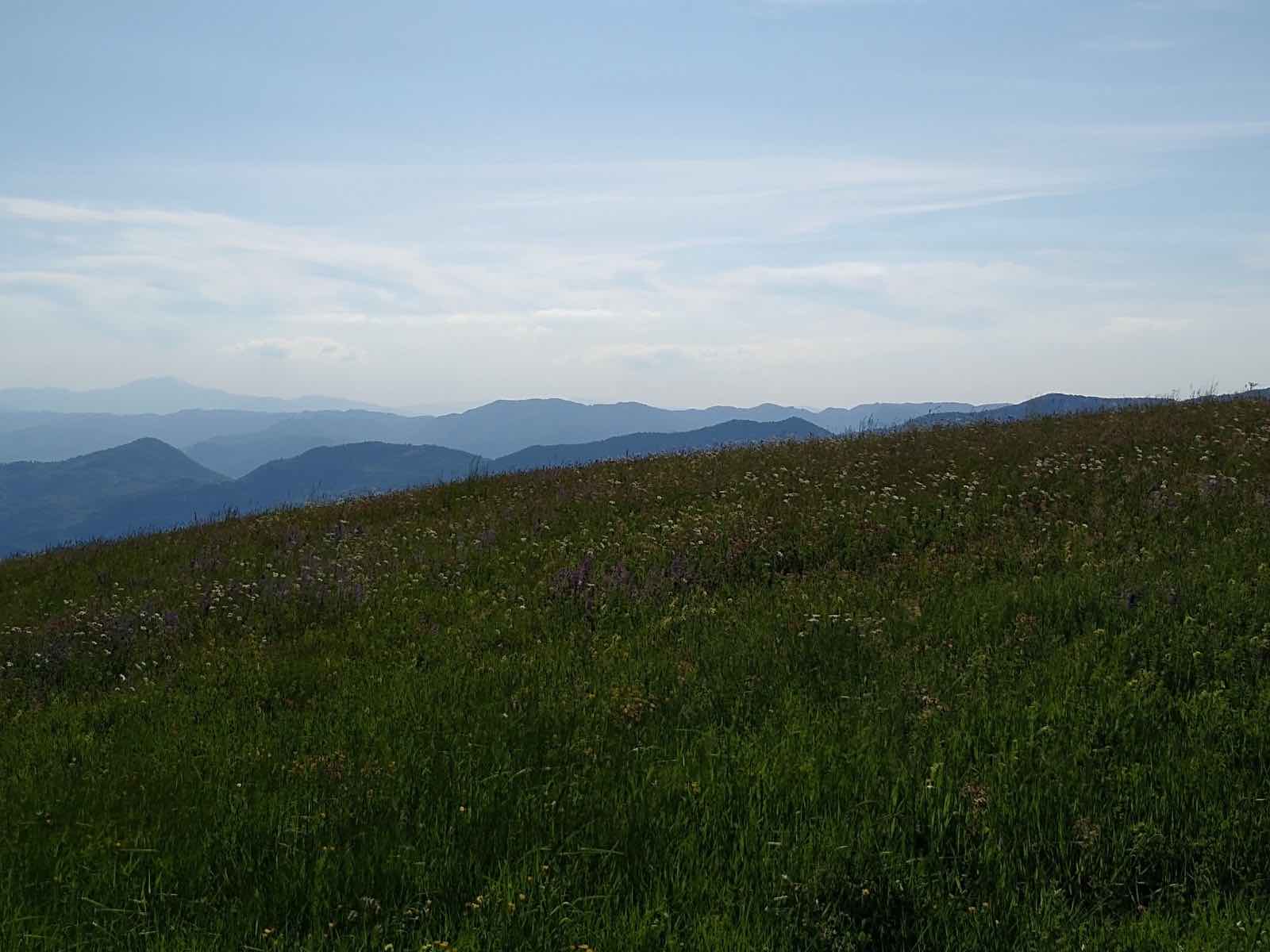 Panorama di Appennino bolognese con monti e prato