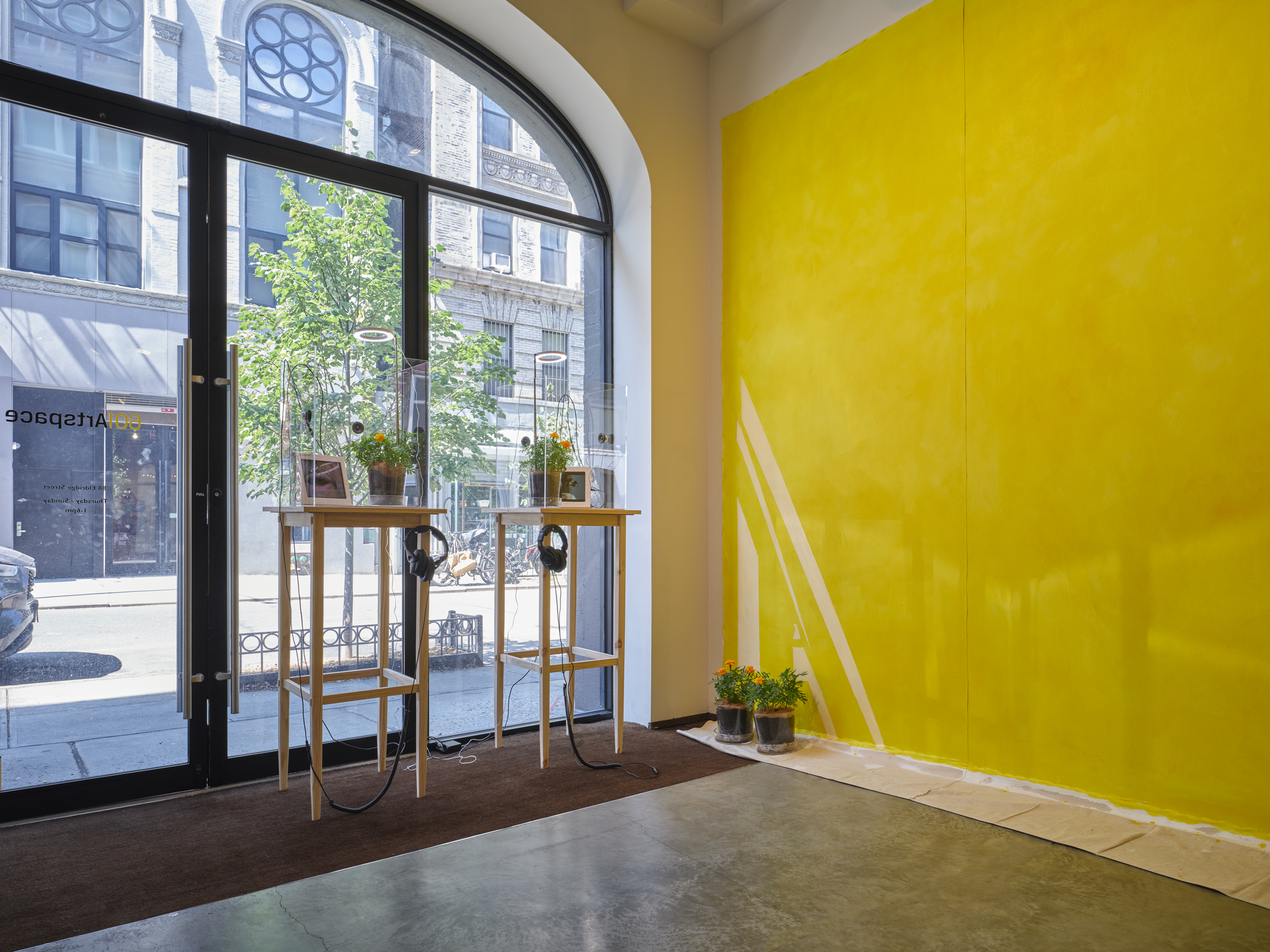 Daniel Bozhkov, Nepotism Project: Projected Evidence of Special Privileges in Alternative Controlled Environments, 2025. Mixed media w/ marigolds, sound, drawing on canvas, dimensions variable.Photo by Flaneurshan.studio