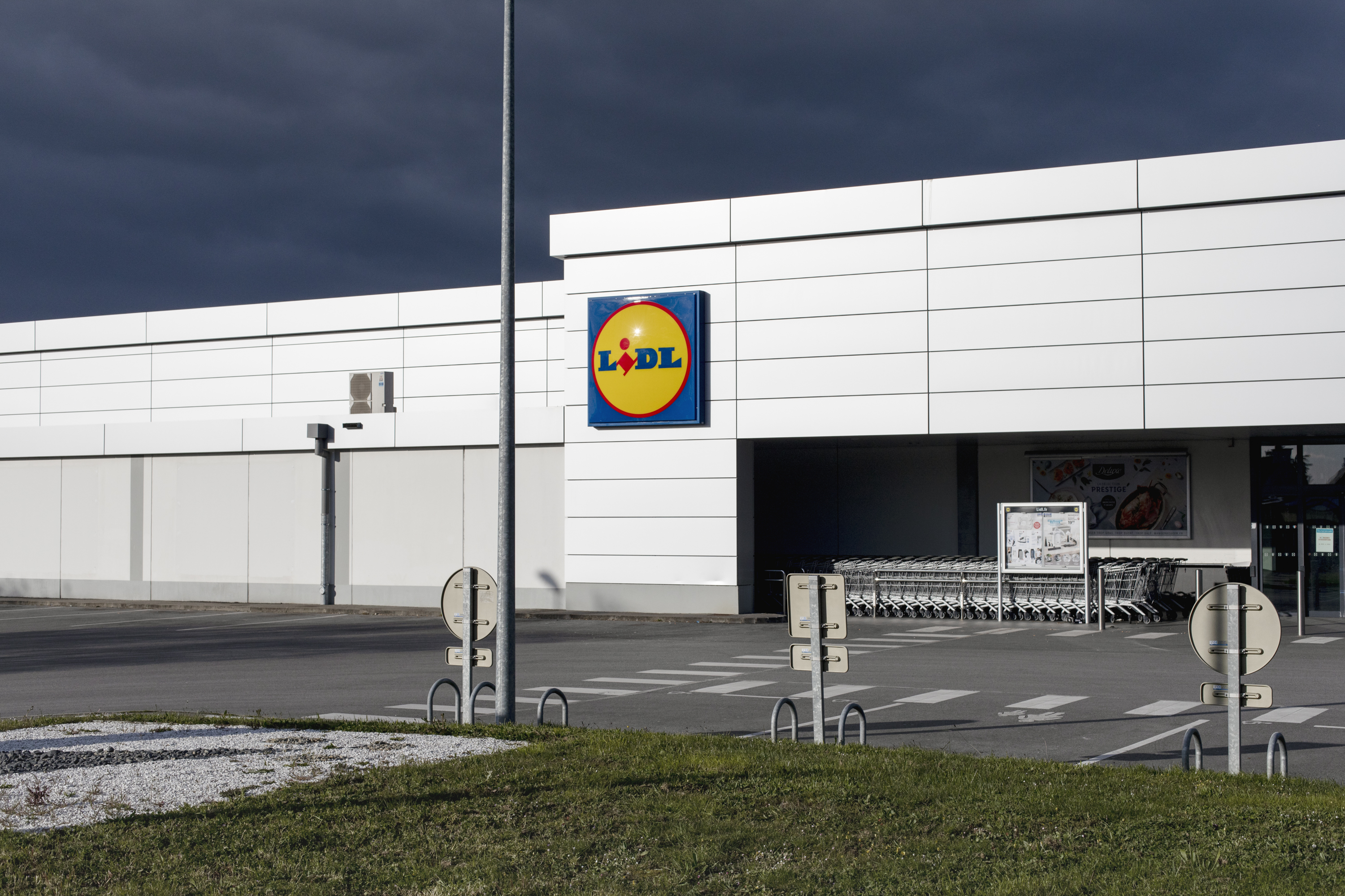 julien cregut-Lost Dogs-©juliencregut