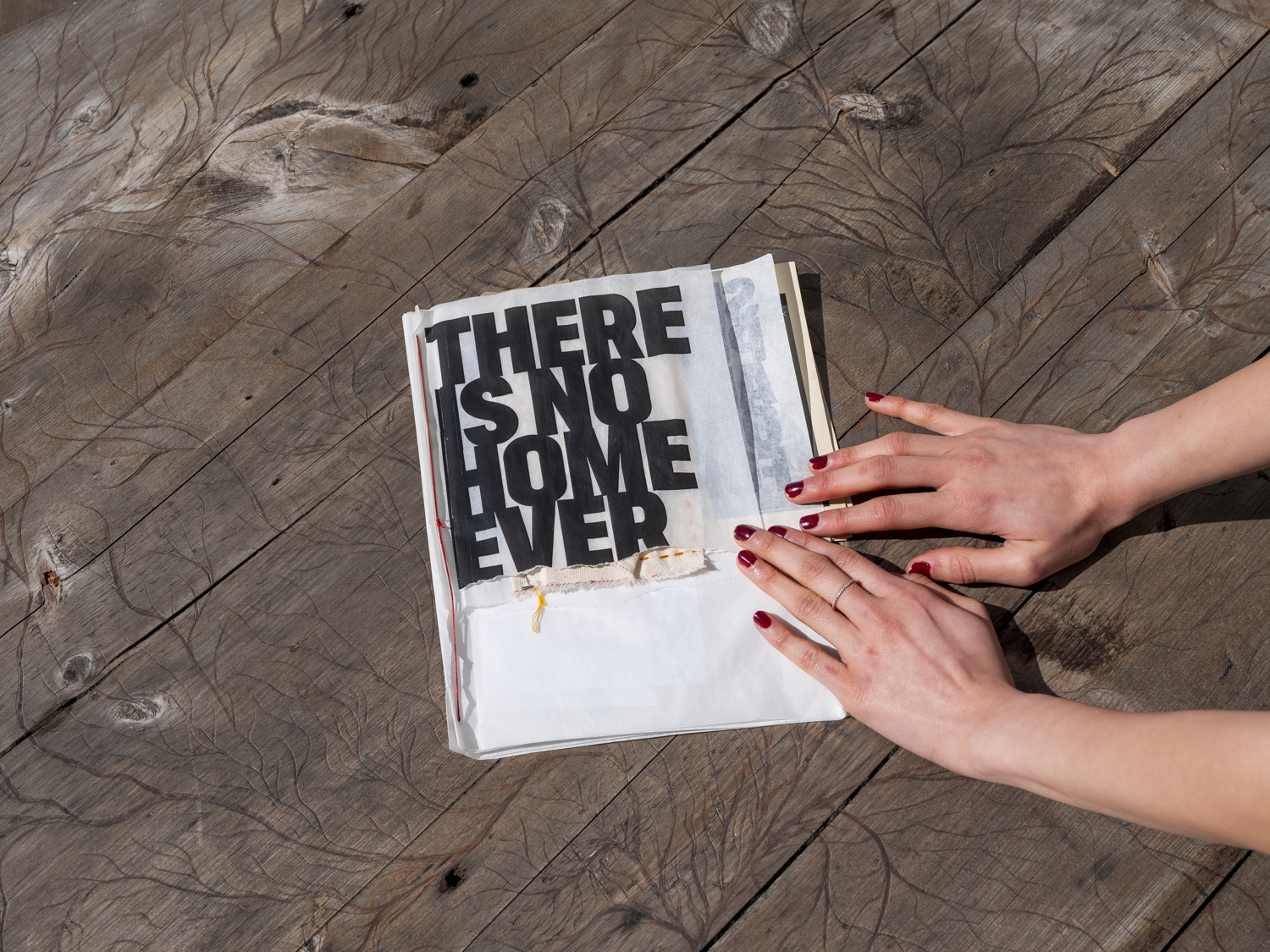 Sanjana Joshi, Looking back, 2024.