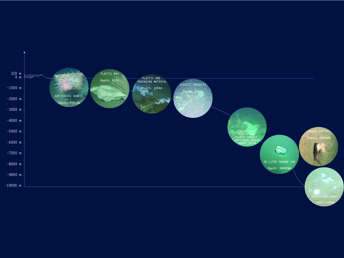 The Invisible Depths of the Ocean  Kirsten Remmers