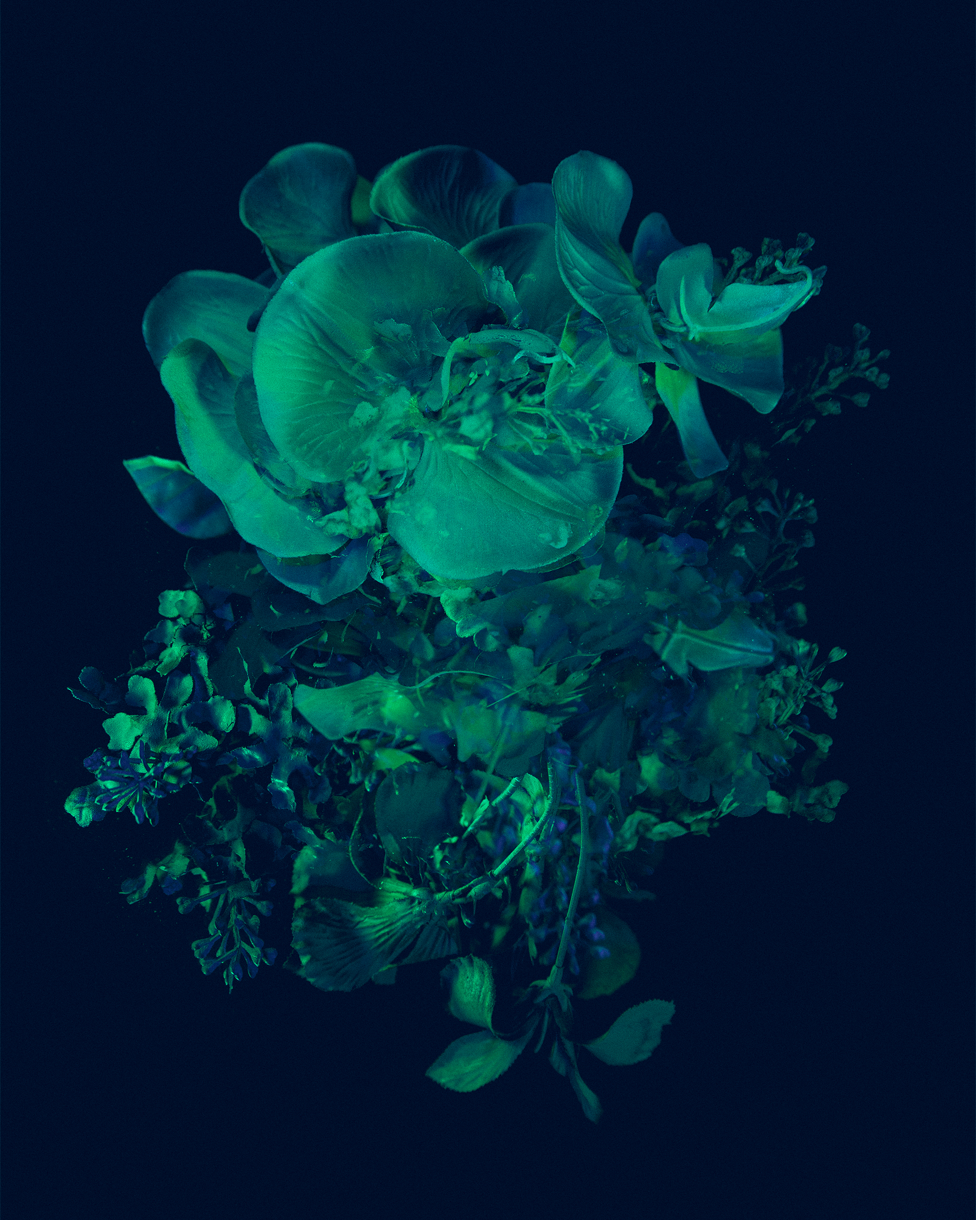 "I've Always Struggled With Poetry", 2018