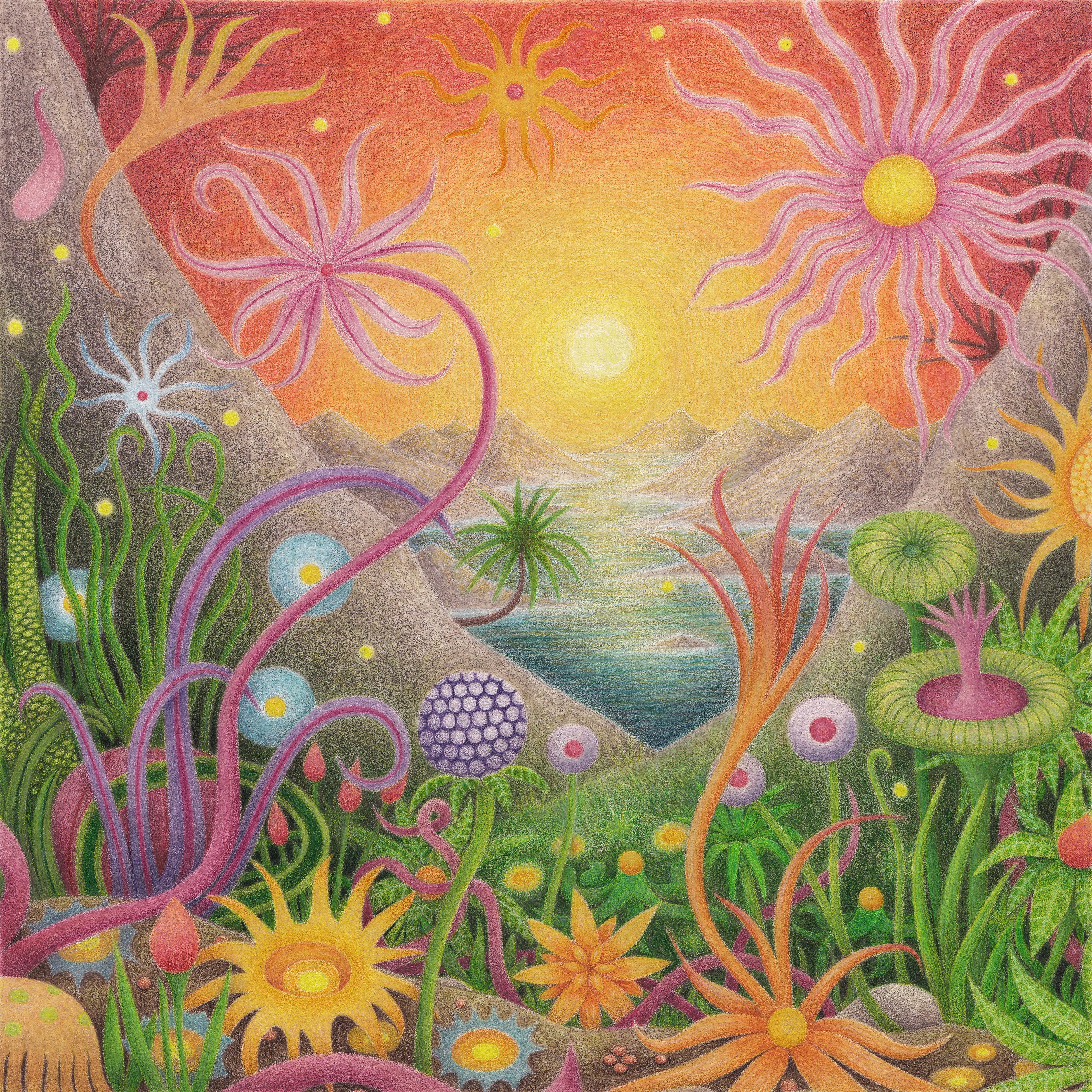 A Strange and Wonderful Place £35