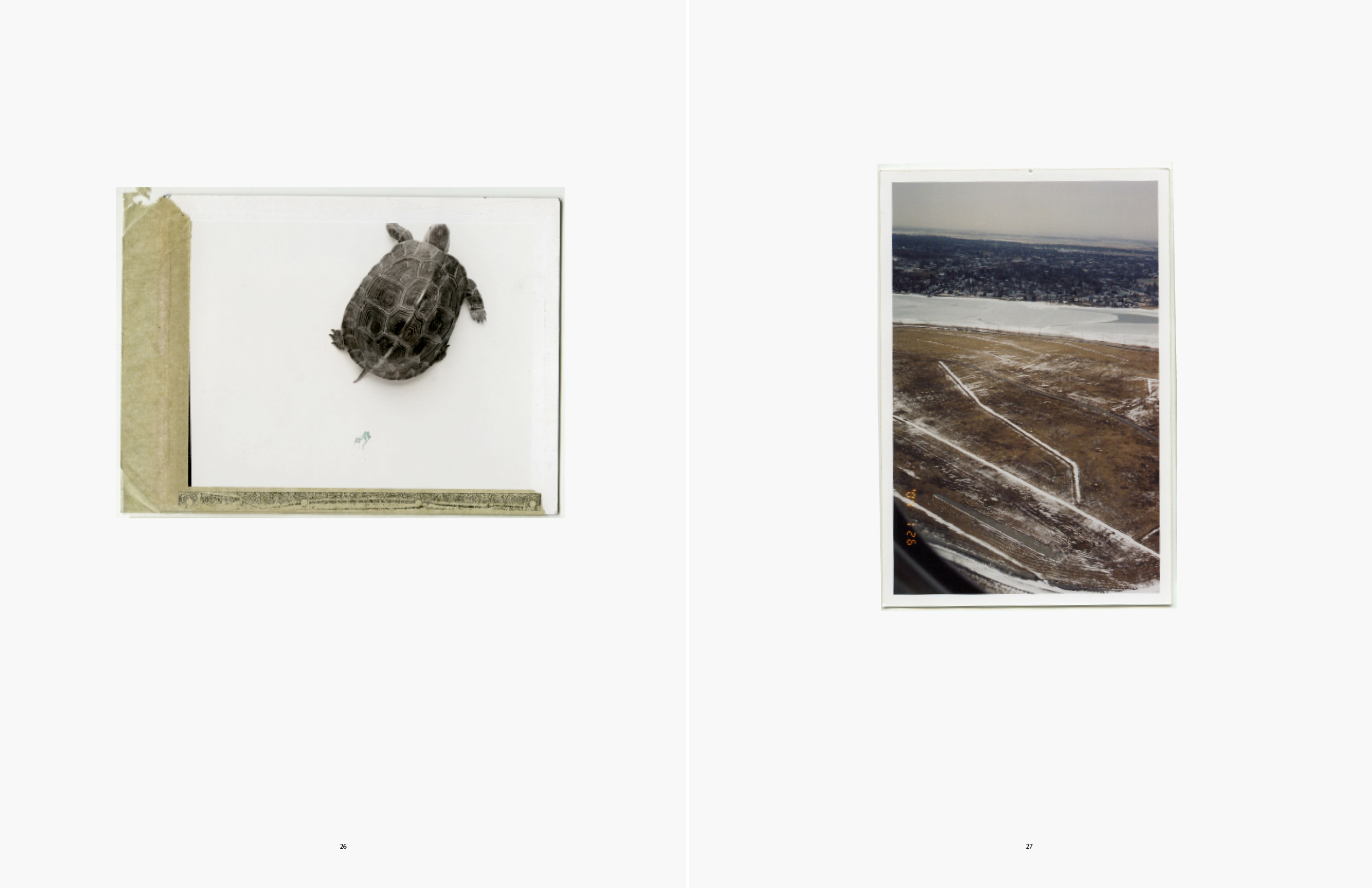 Turle for an Ad; JFK