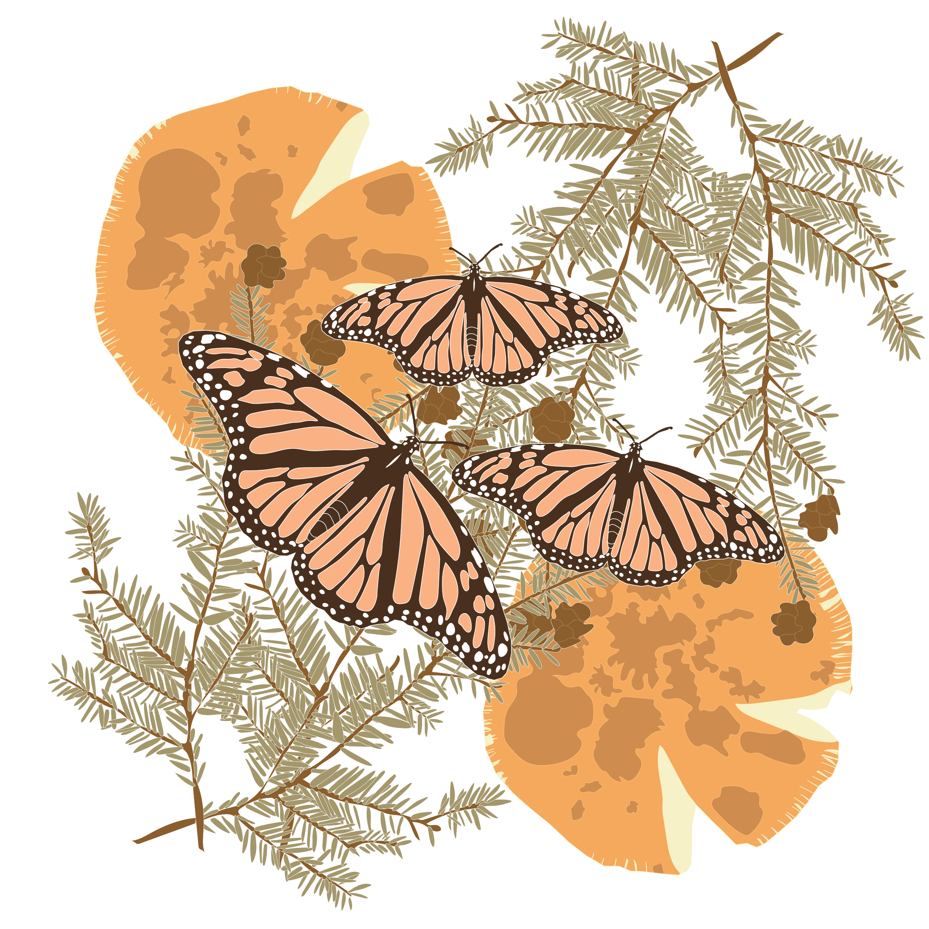 Mental Landscape: The Places I Call Home