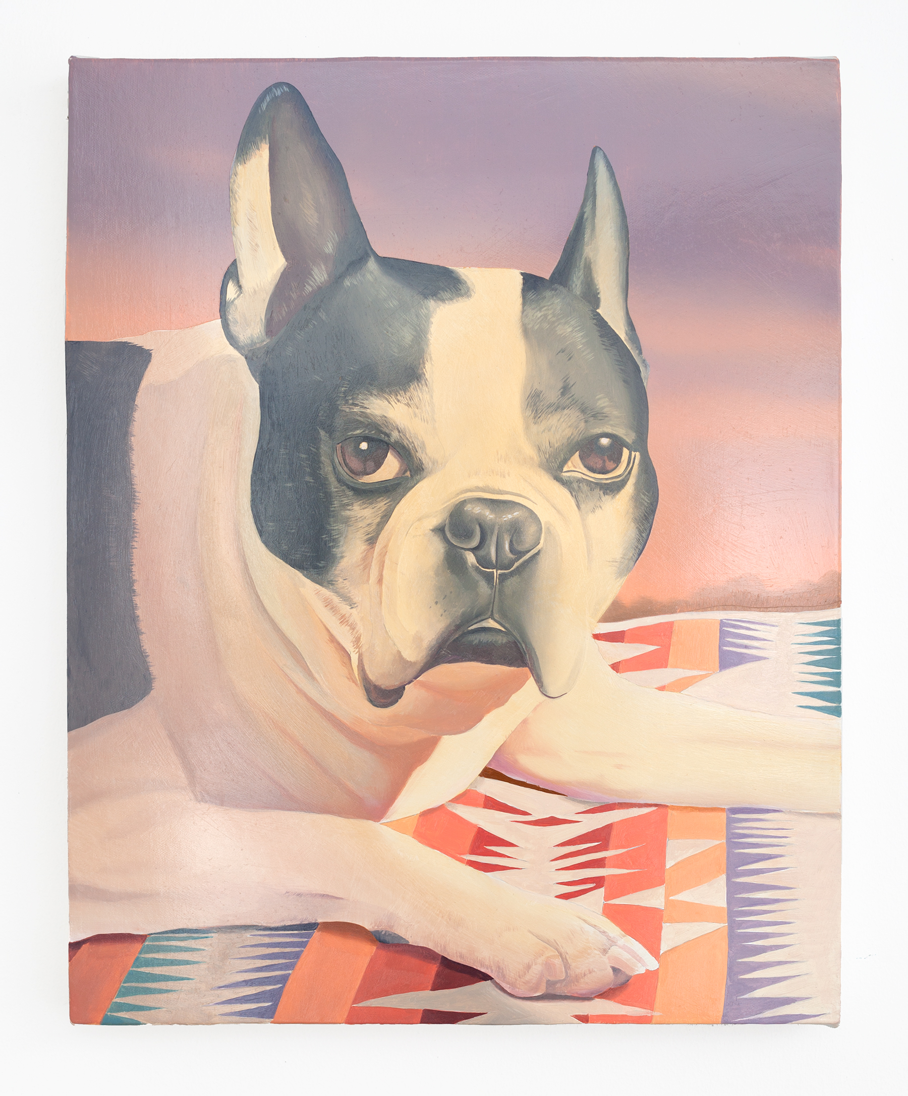 Danny FerrellIggy, 2018Oil on canvas stretched over panel20 x 16 "