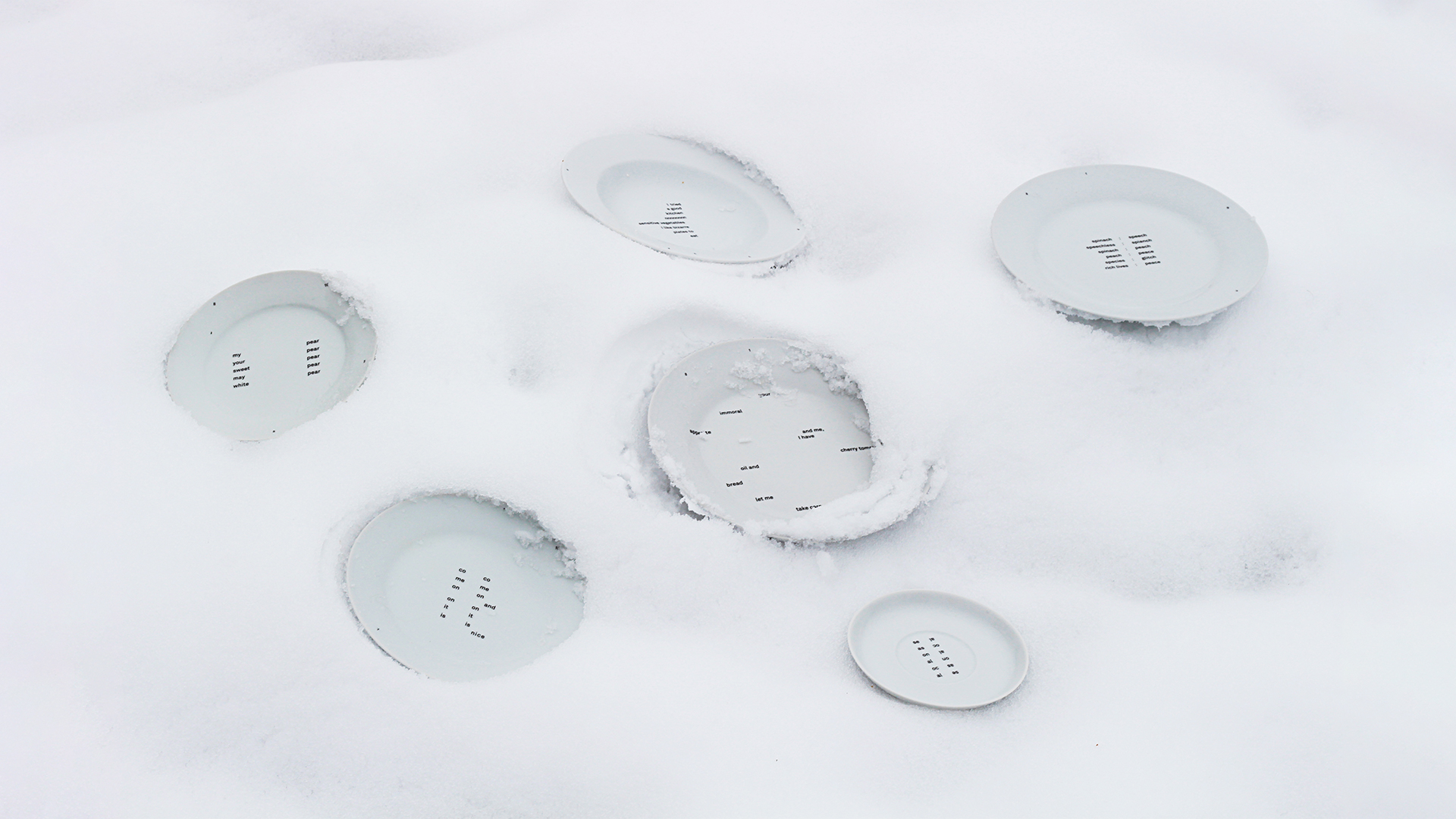 Plates for plants, type in ceramic—2020