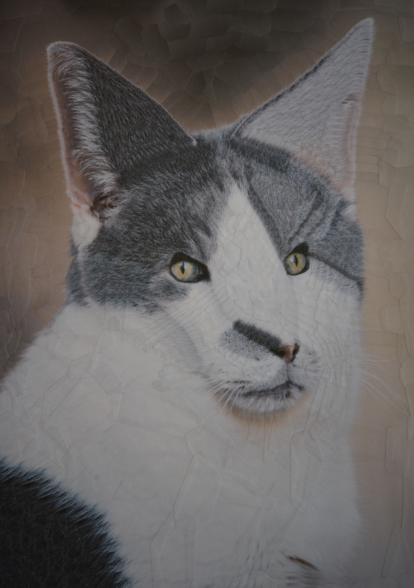 Gorgonzola, 2021, 8.2 x 11.6 inches