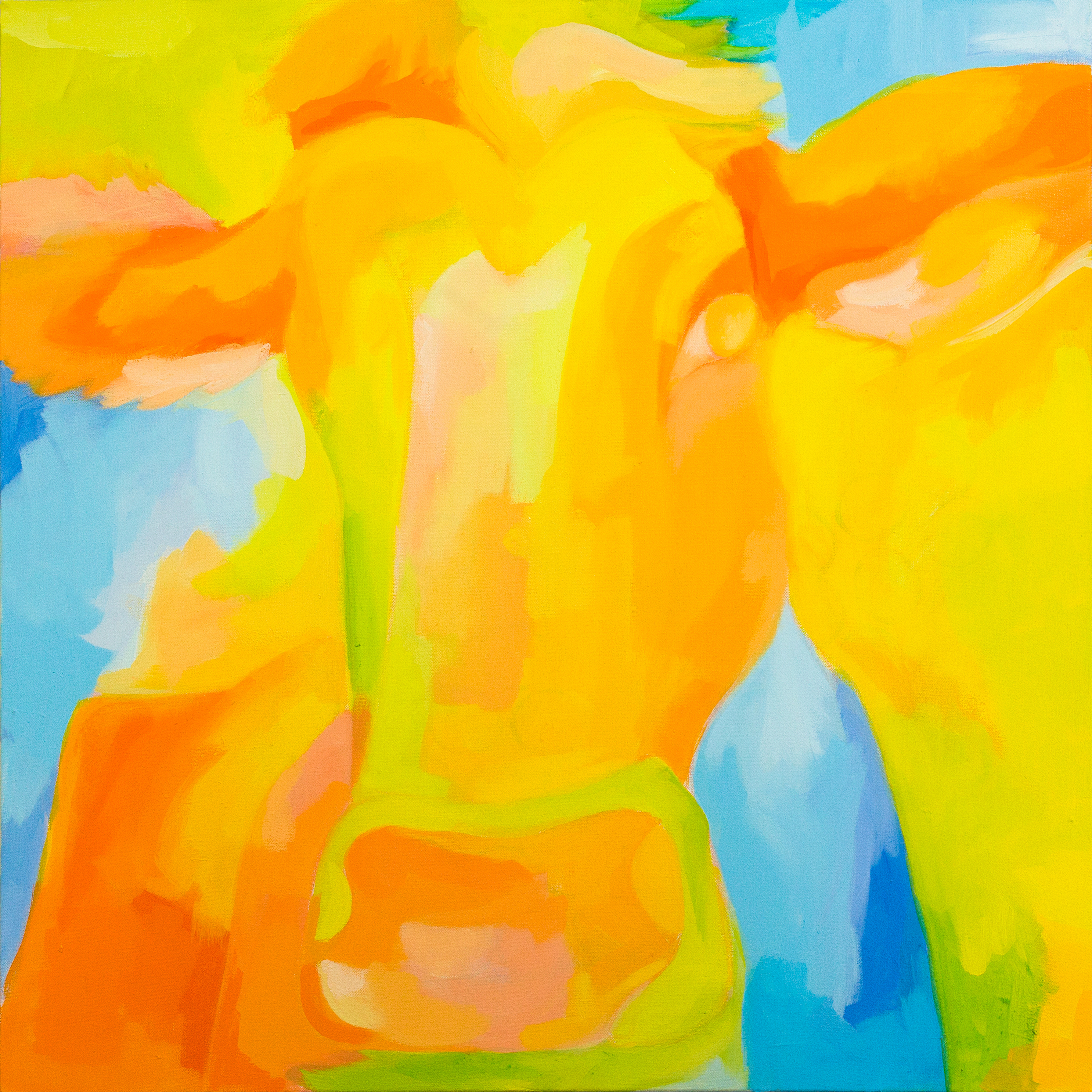 Cow series, SOLD → Oil paint on canvas