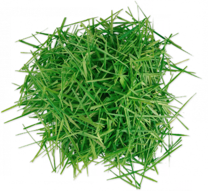 Lawn Clippings