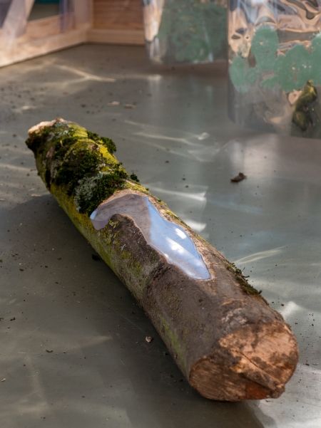 Installation view: Hot House (Jan van Eyck Academie)