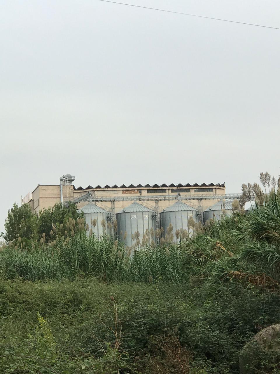 Photographs taken along Parallel T. Contributed by the architecture students at Polis University in Tirana.