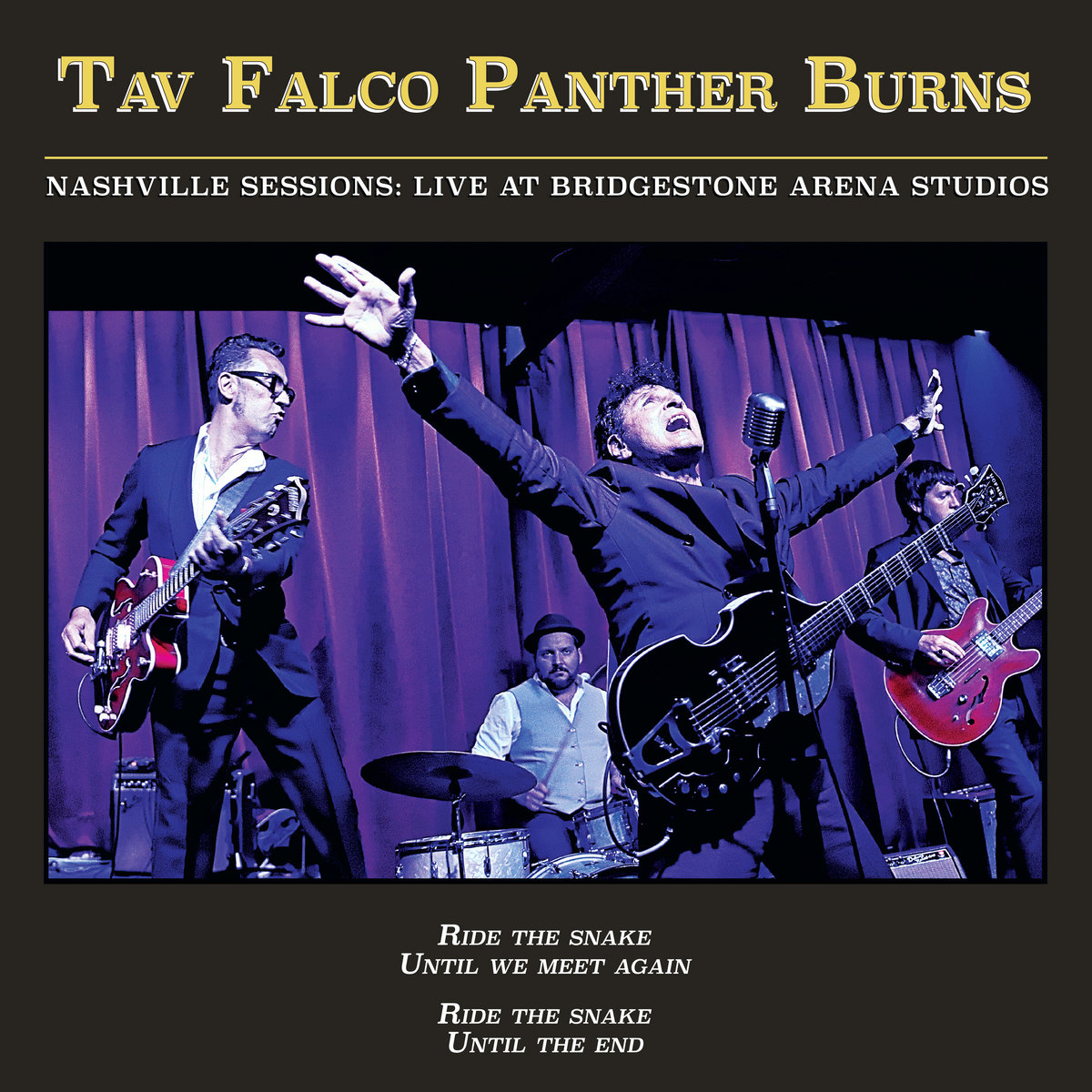 Tav Falco Panther Burns