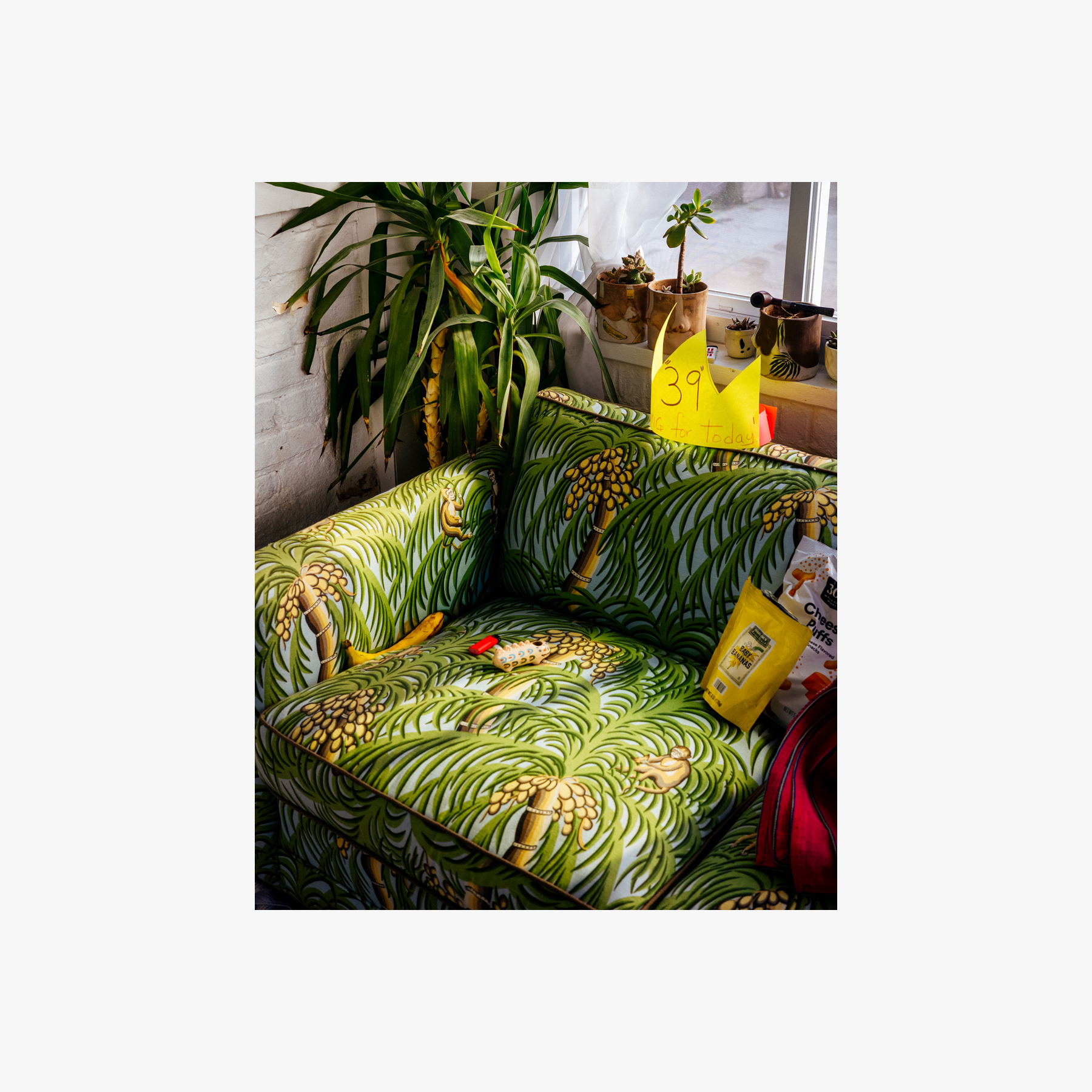 Domestic Disturbances