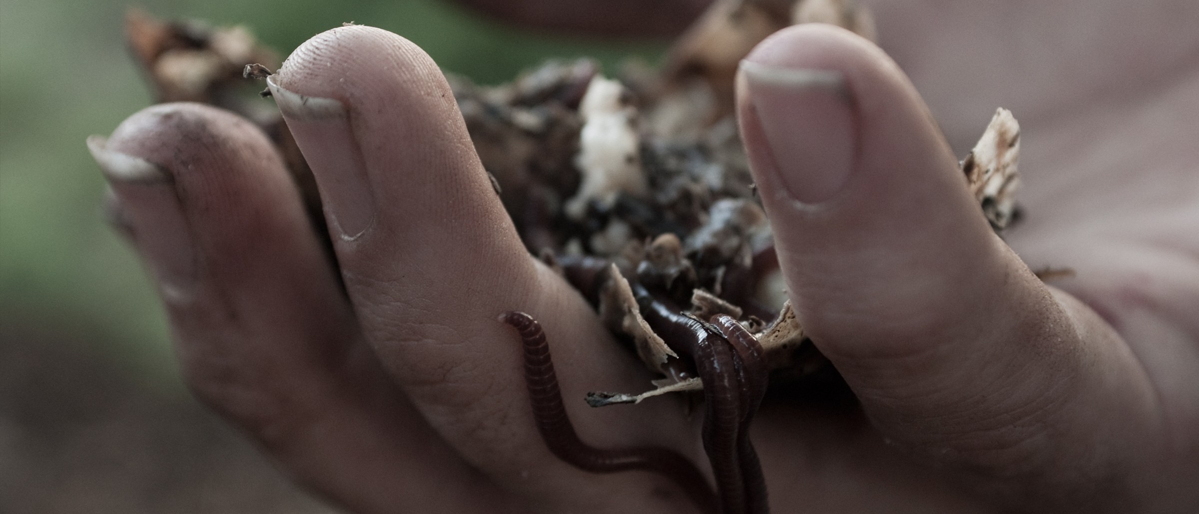 Getting your compost on is about as fun as life gets. The Plant Hunter uses both flora and fauna to produce rich soil from organic waste.
