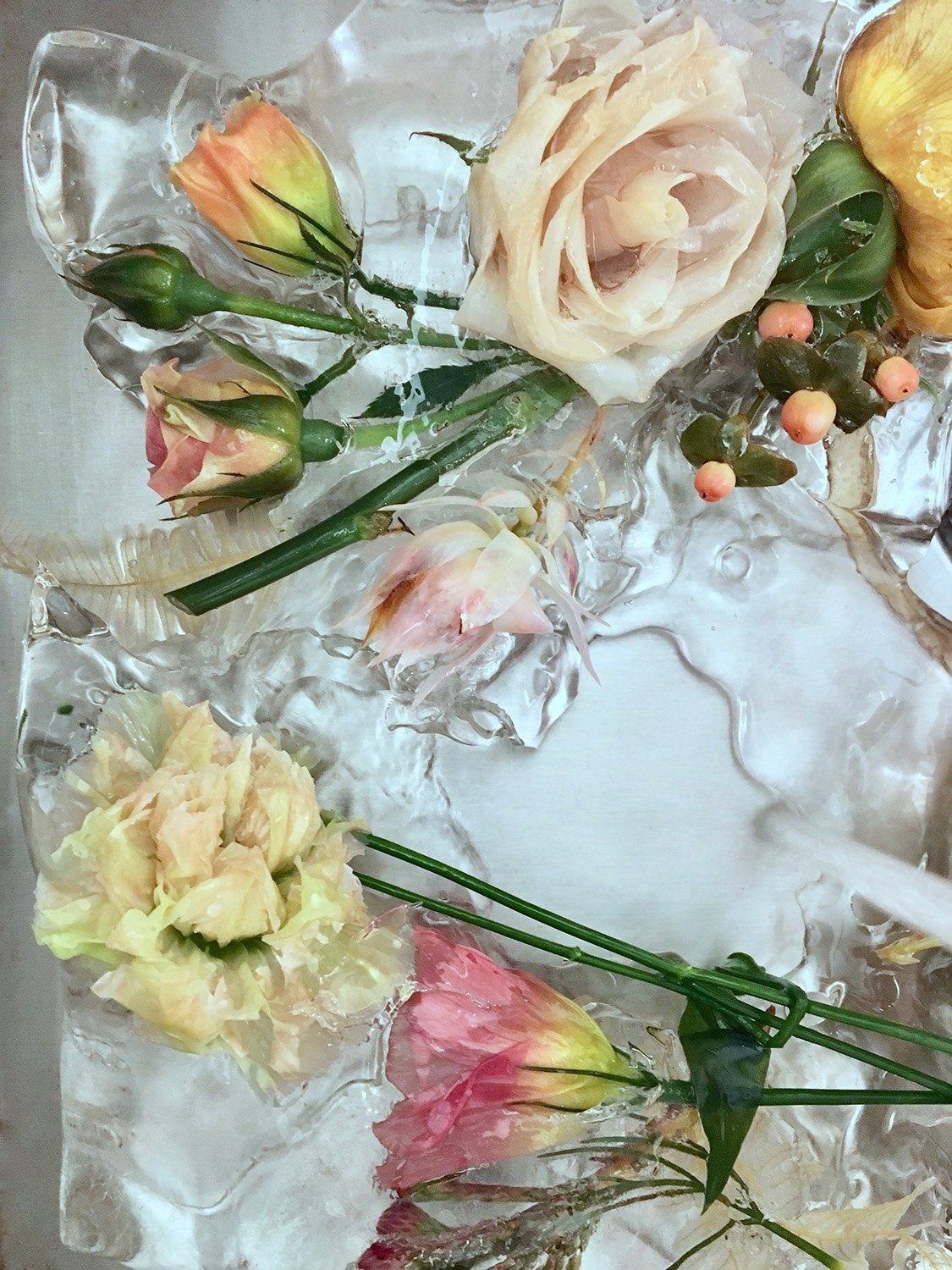 KMA stylist Sara Wacksman designs set for conceptual photo of pink flowers under glass plates with water droplets 