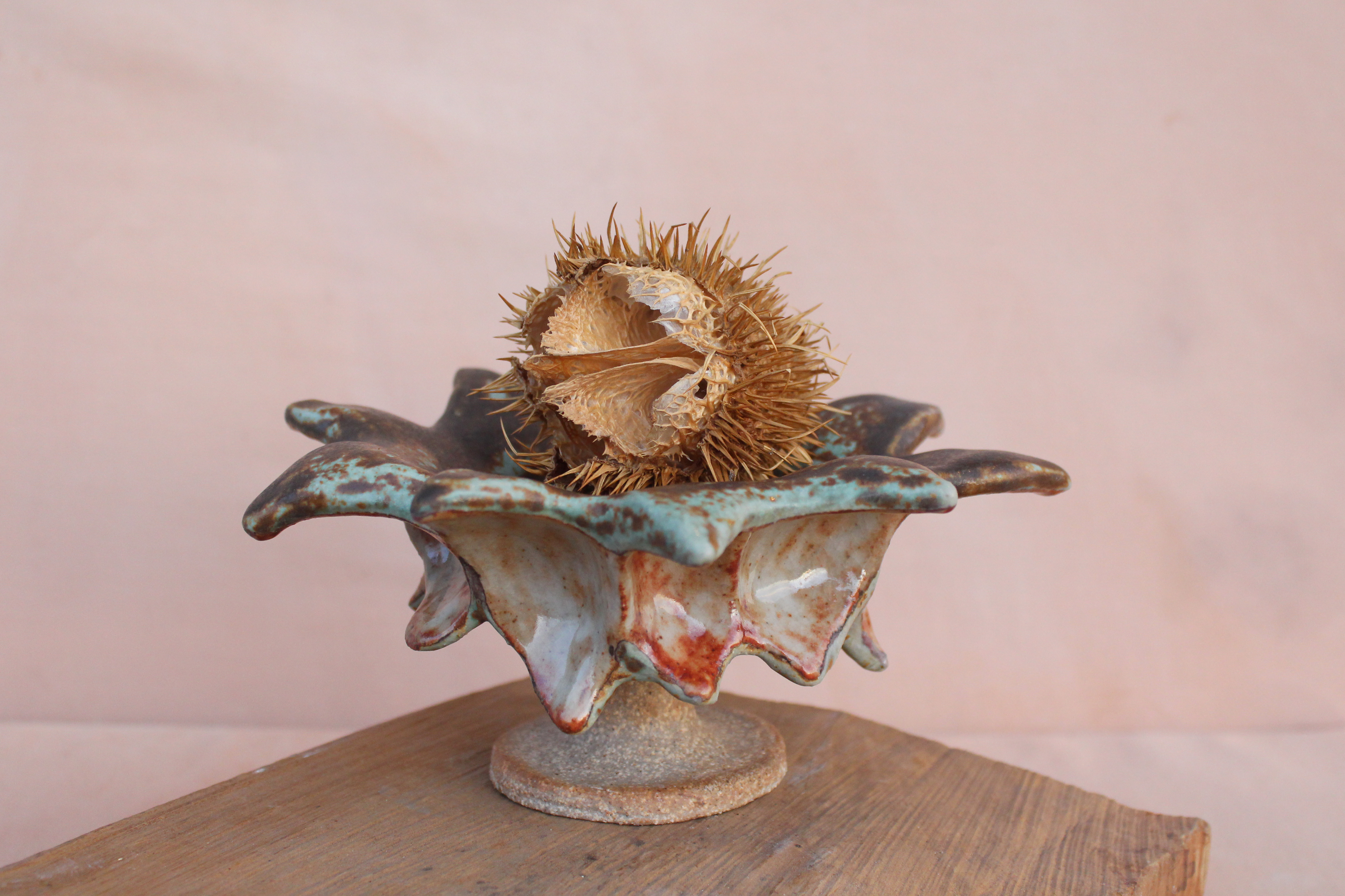 Lichen Aster table ornament