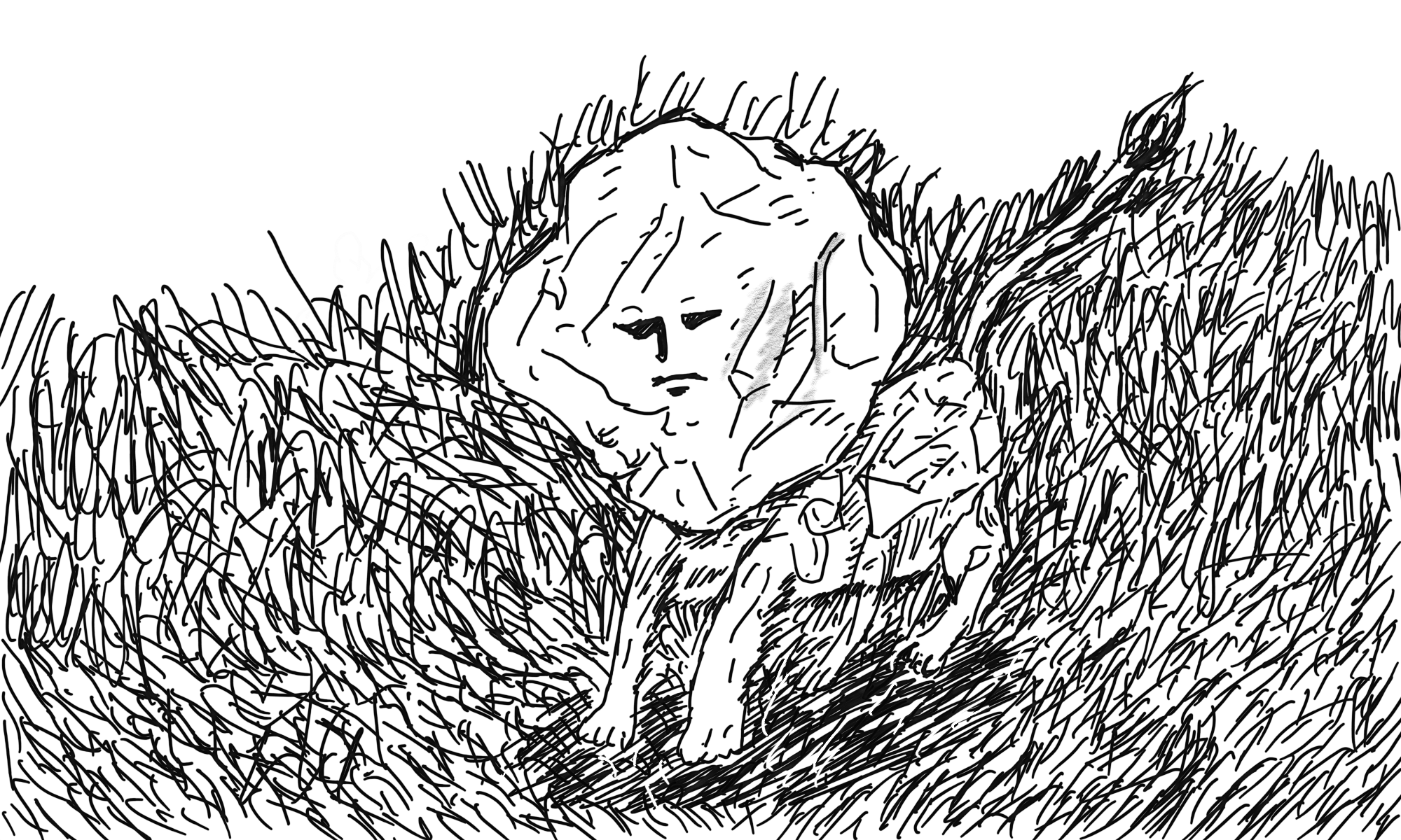 사자_Lion_digital drawing_2021