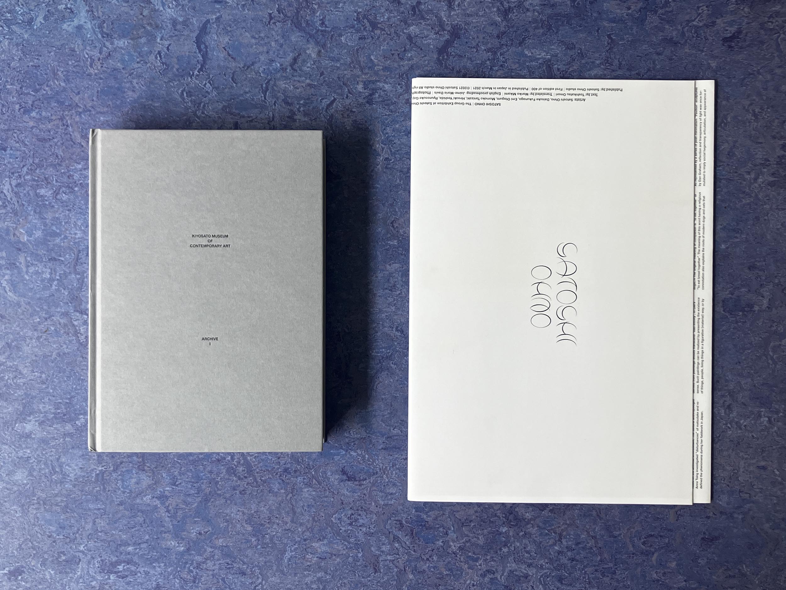 Photos: Tanuki at House of Books