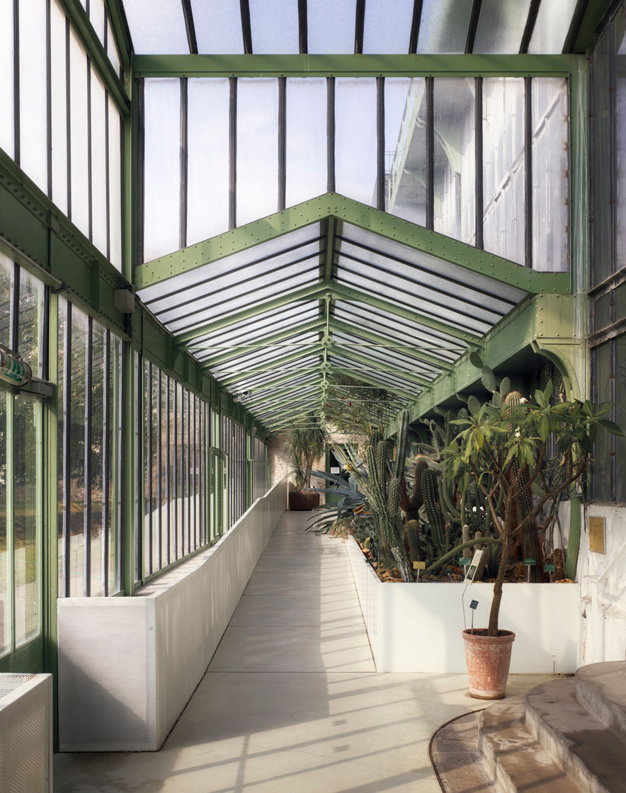 NATIONAL MUSEUM OF NATURAL HISTORY, PARIS 