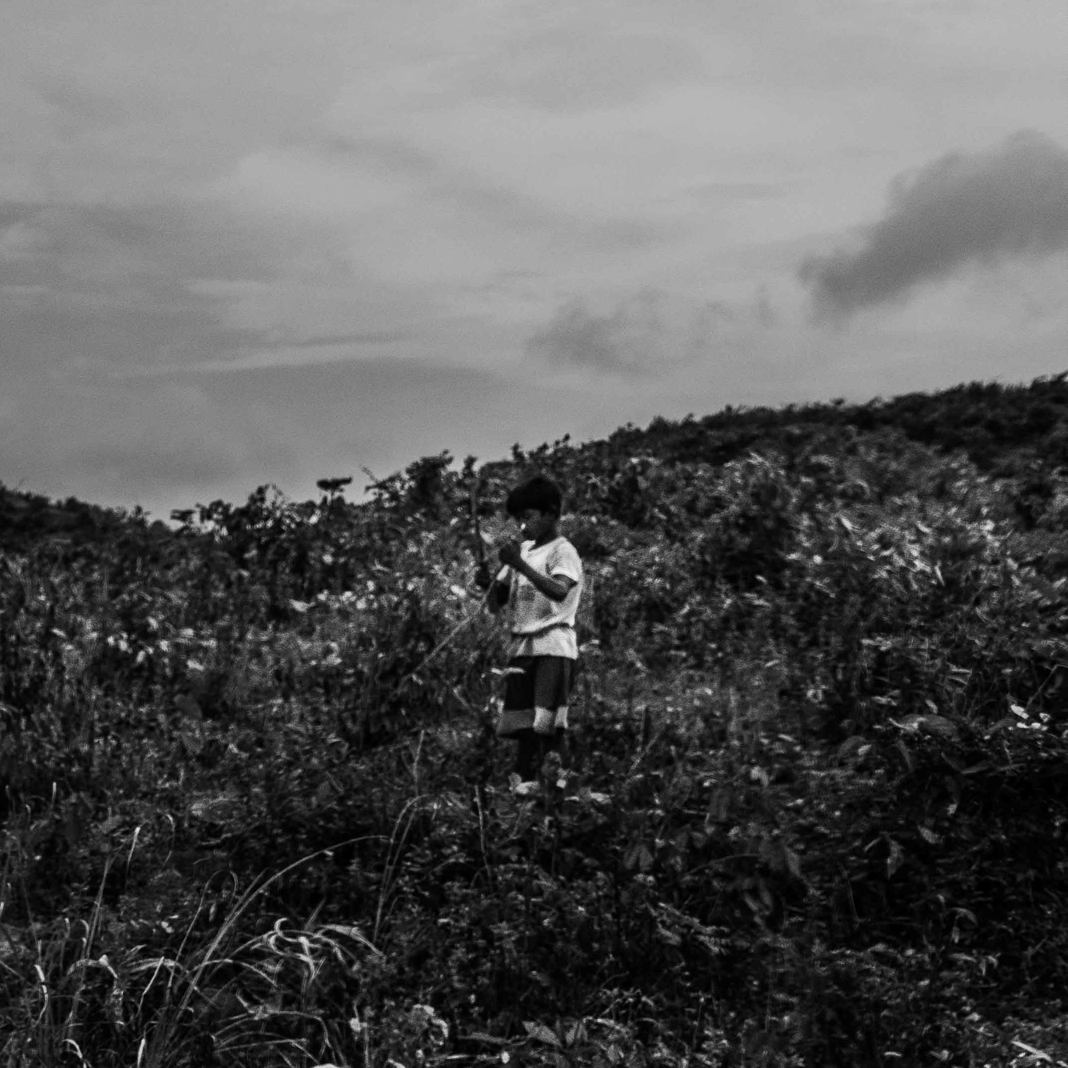 Rohingya boys pick firewood in the bush several kilometers away from Balukhali refugee camp on August 11, 2018. Every day, thousands of men, women and children travel hours through the wilderness to collect wood for cooking. With approximately 700 metric tons of firewood being collected every day, estimates place complete deforestation of the area by the end of 2019. Now, U.N. agencies and NGOs are working to distribute gas stoves and provide training to curb the environmental impact.
