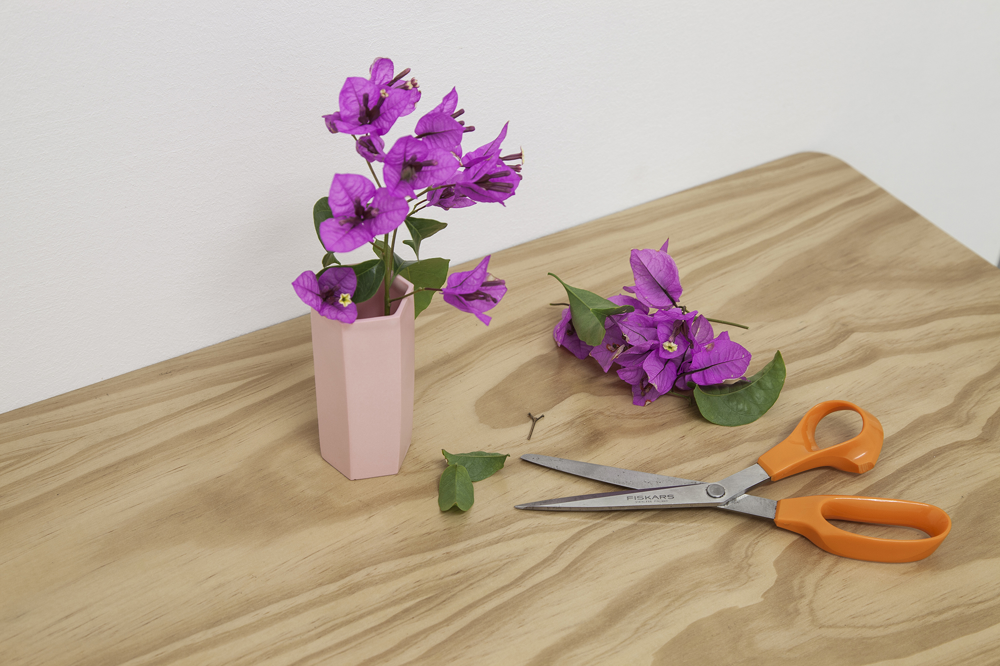 photography for Ghome