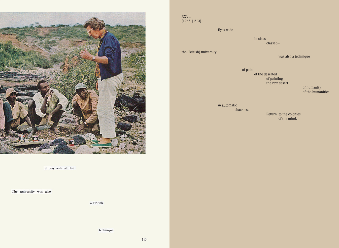 Michelle Dizon and Viêt Lê, White Gaze (book spread), Sming Sming Books, 2018