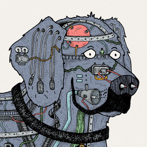 Anatomy of... a Dog