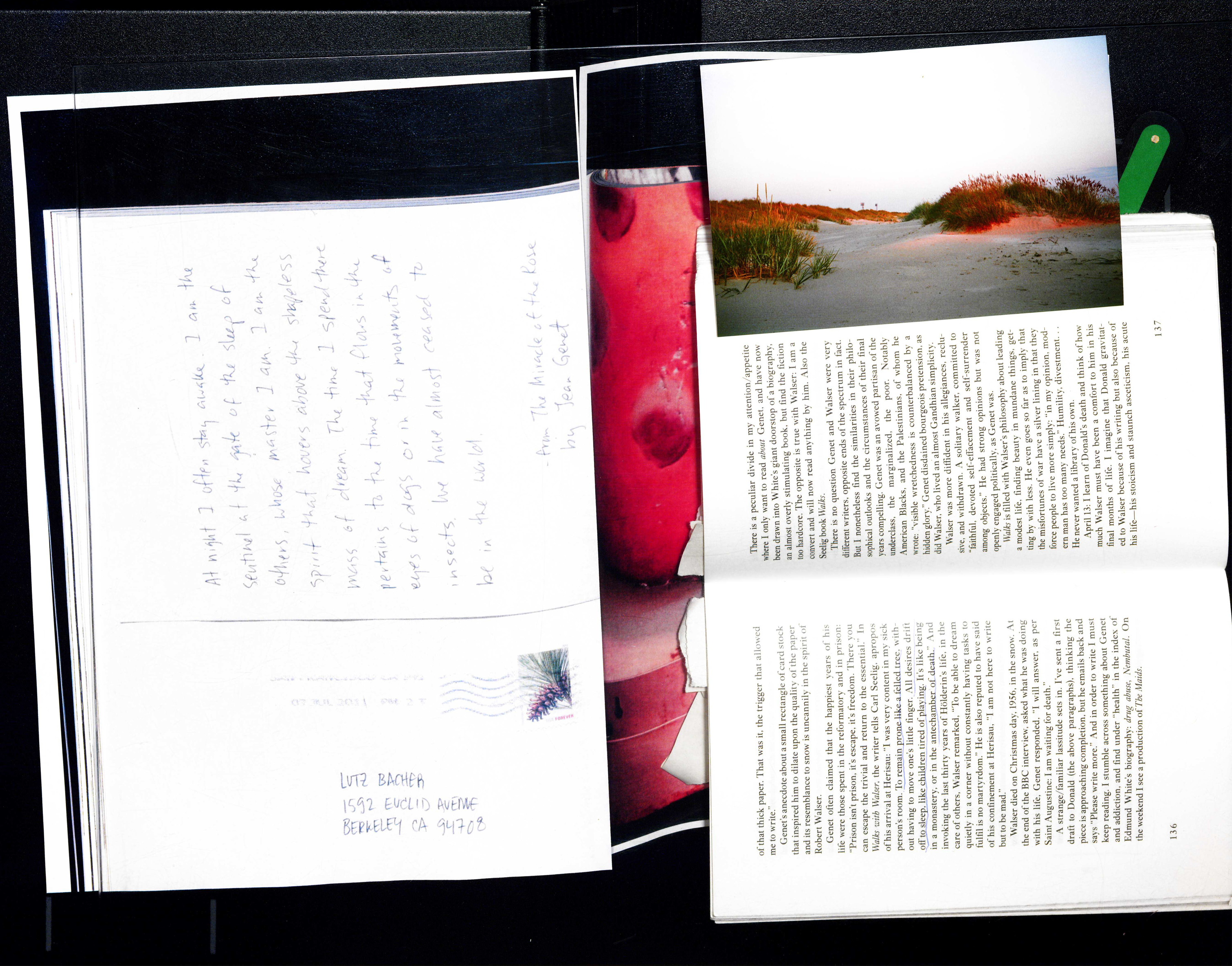 Our concern with history is a concern with preformed images already imprinted on our brains, images at which we keep staring while the truth lies elsewhere, away from it all, somewhere as yet undiscovered, 2023. Copyright: Luīze Nežberte.