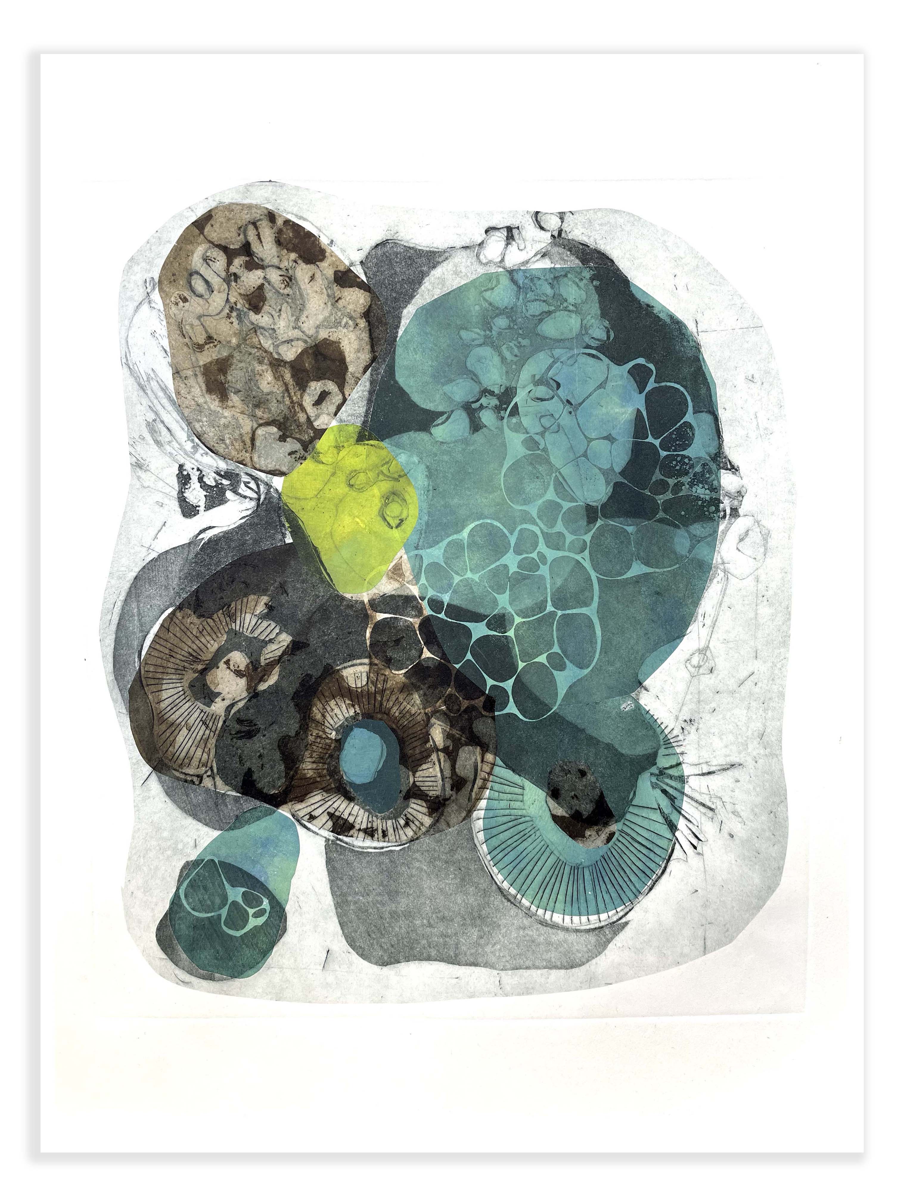 "Transparency" Intaglio and Chine Colle on Rives 12" x 16"