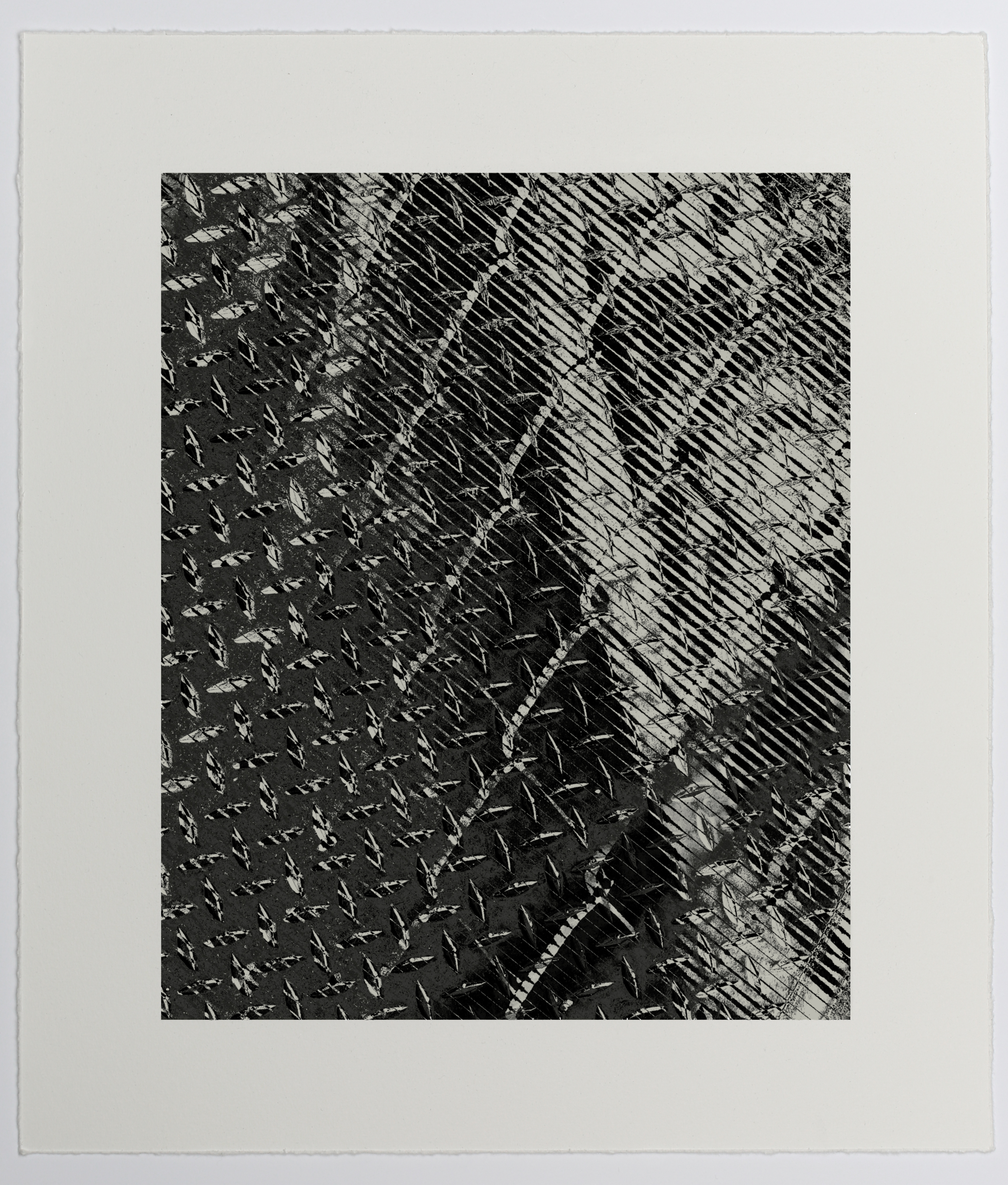 Untitled, transfer print on paper, 13” x 15”, 2025