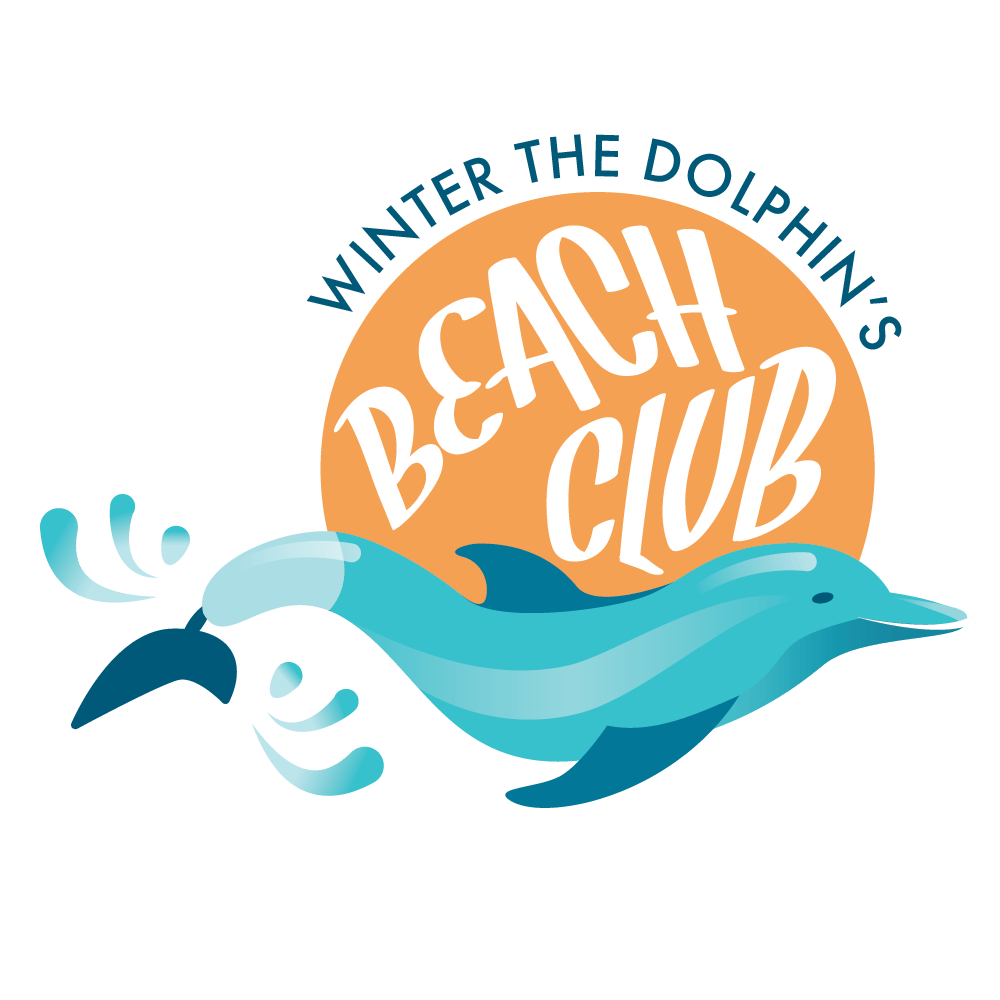 Unused Logo Concept