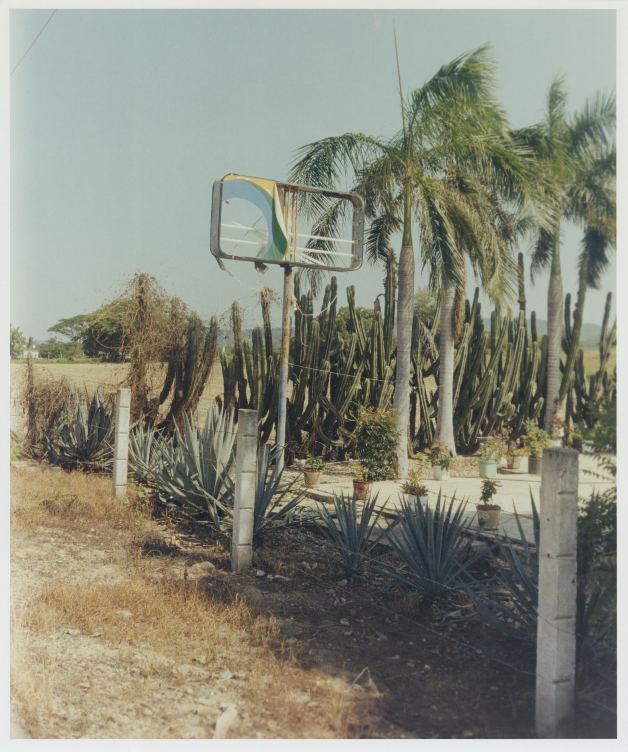 Oaxaca, 2021