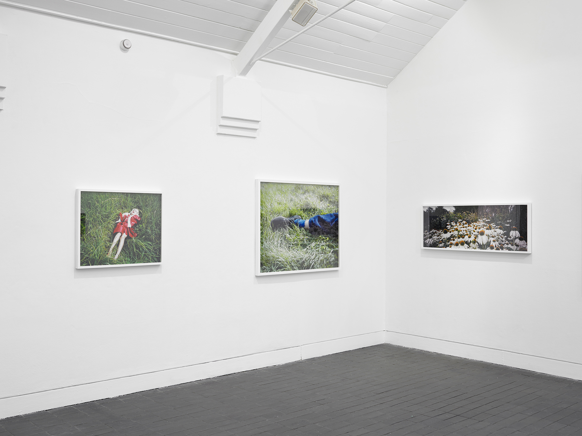 Beyond the Frame, ’Craving Gaps’. Interventions at Bristol Museum & Art Gallery. Bristol Photo Festival 2020