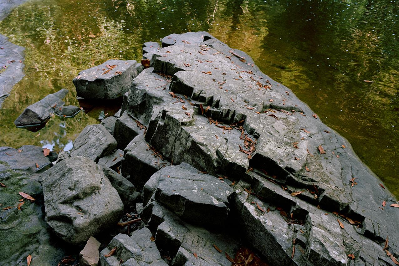 RESEARCH AND PERCEPTIONS