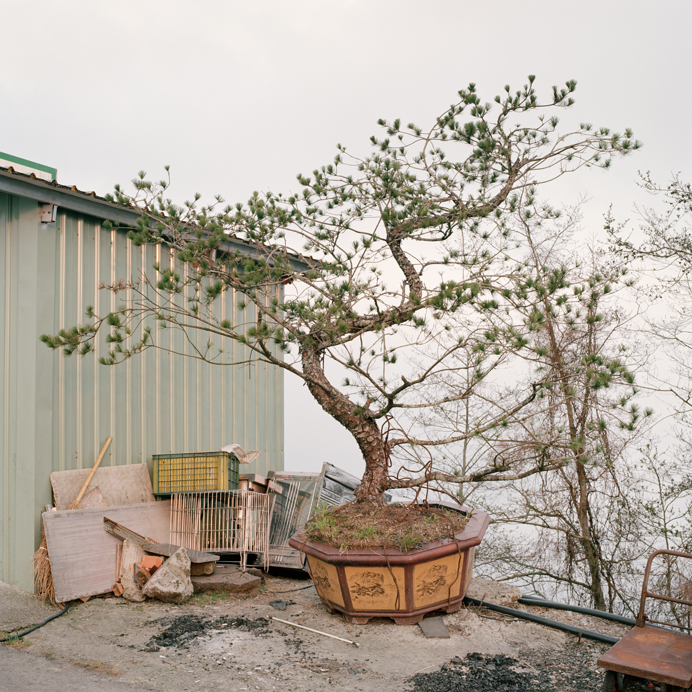 Taiwan Mountain Pass II, 2016