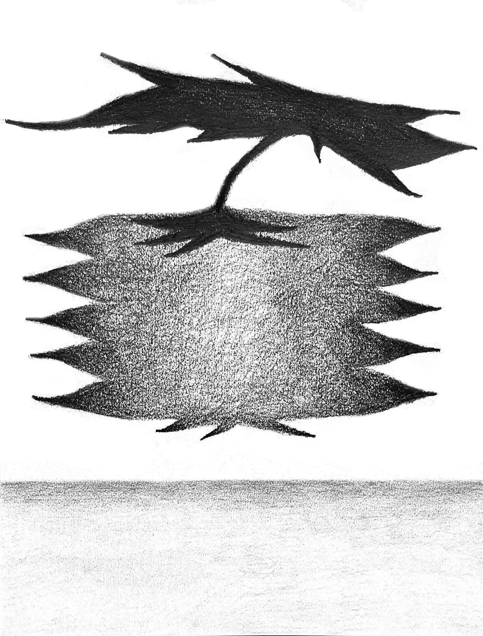 Fruit Bat (2023), graphite on paper. 8x11 inches.