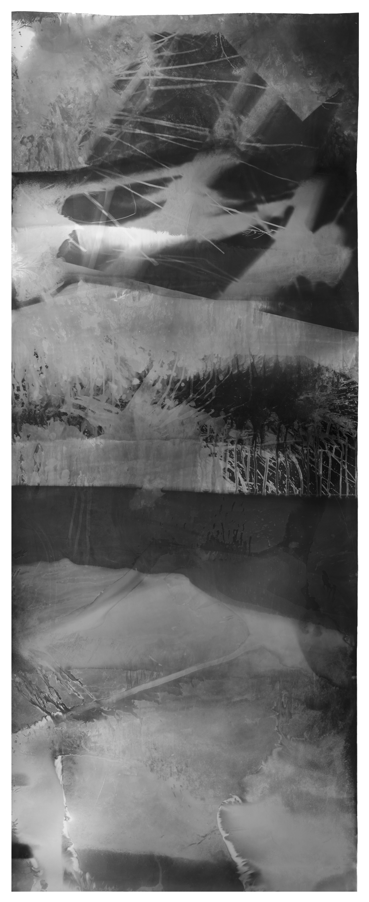 Untitled, 2017, 9.33 feet x 3.5 feet, Silver Gelatin Print