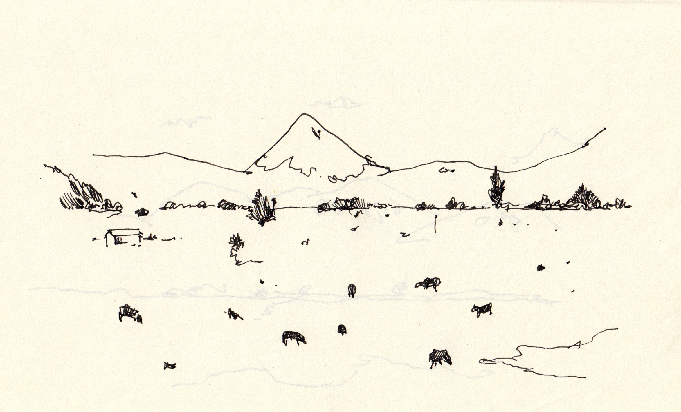 From a train somewhere in Northern California / Mount Shasta