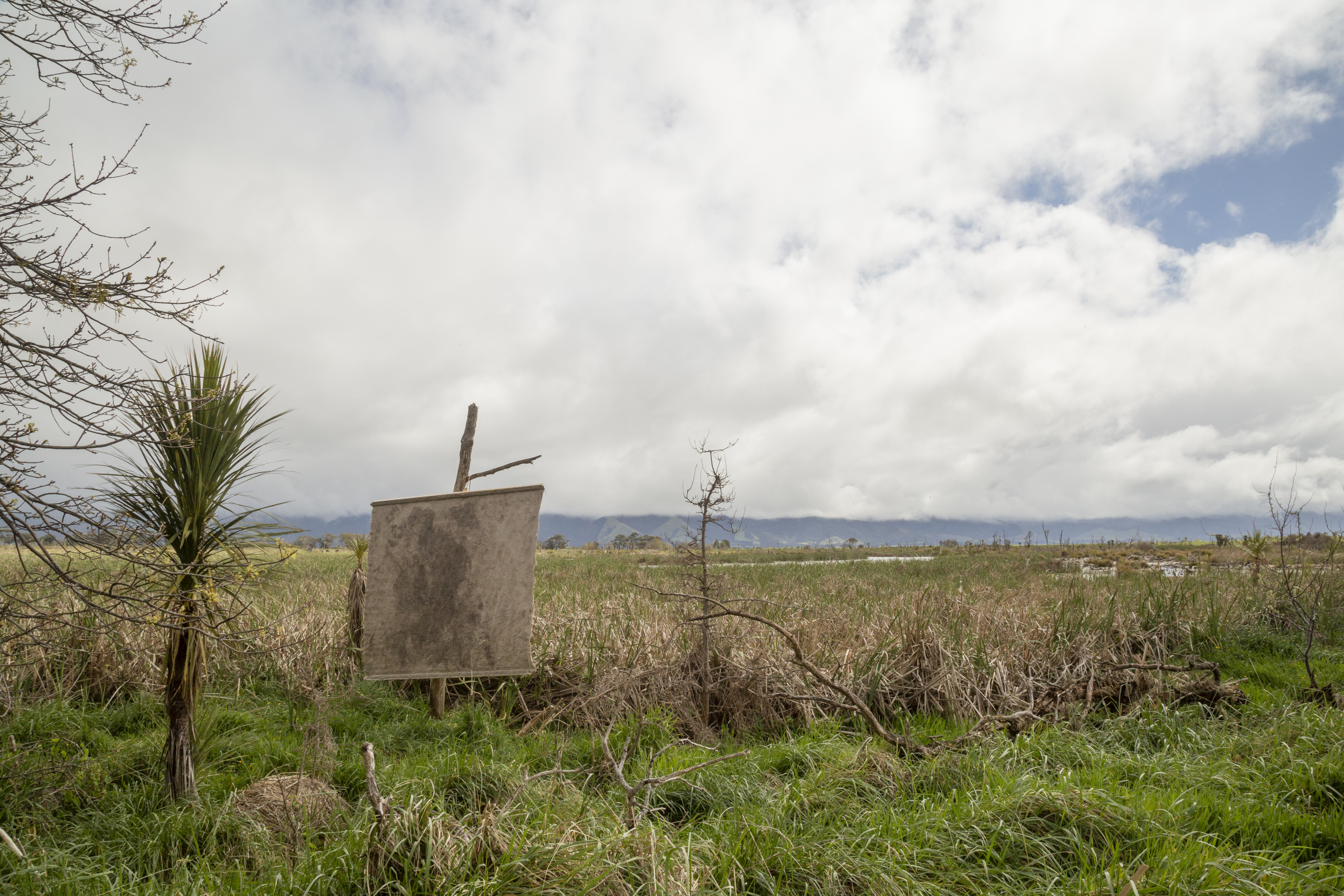 traces left behind and imprints silently borne installed at Boggy Pond, Wairarapa Moana
