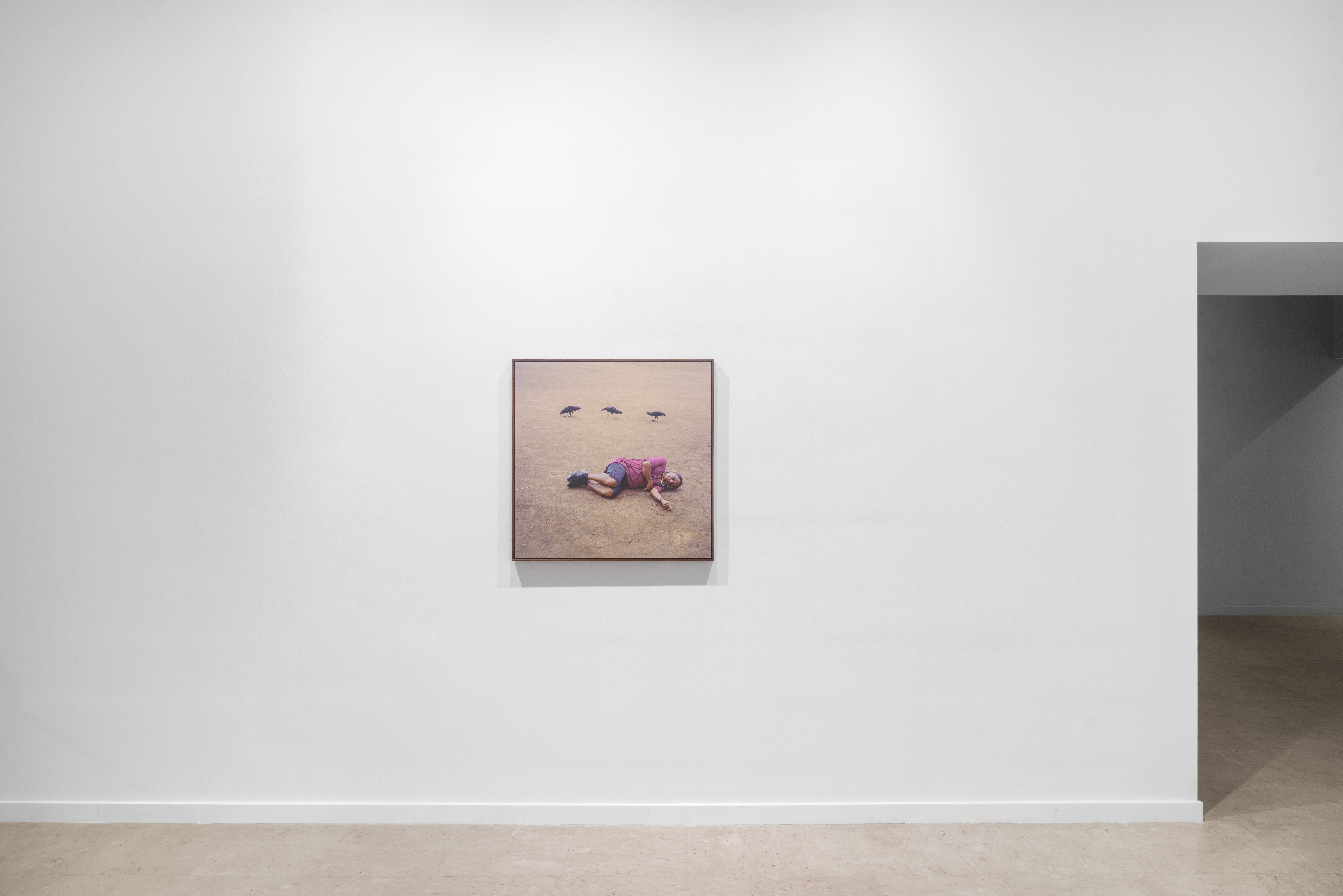 ‘Once Upon a time in the Jungle’ at the EXPOSED Torino Foto Festival 2025. GAM, Torino