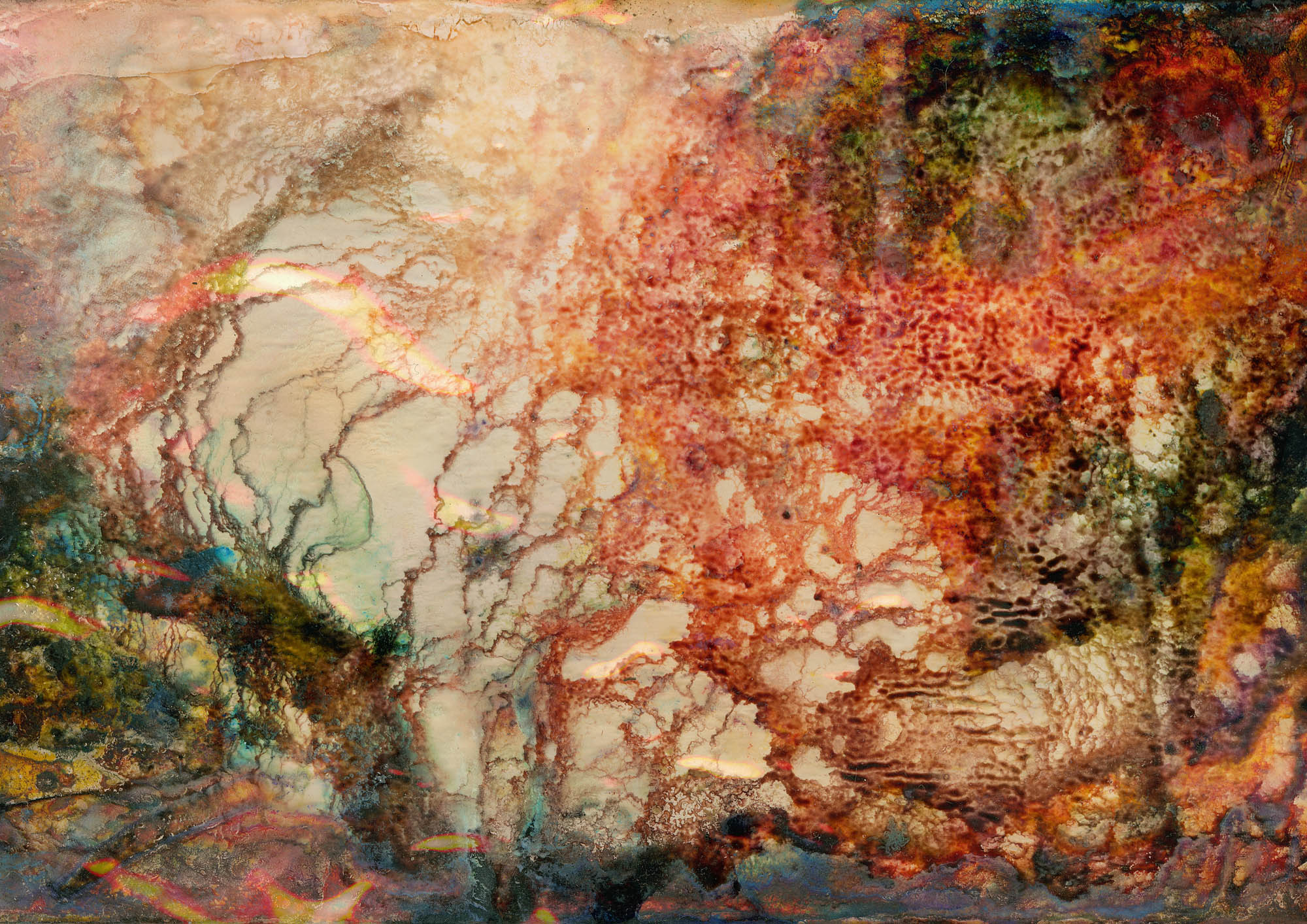 Landscape, Found photos in Detroit, 2011 (110x165cm)Ed.3