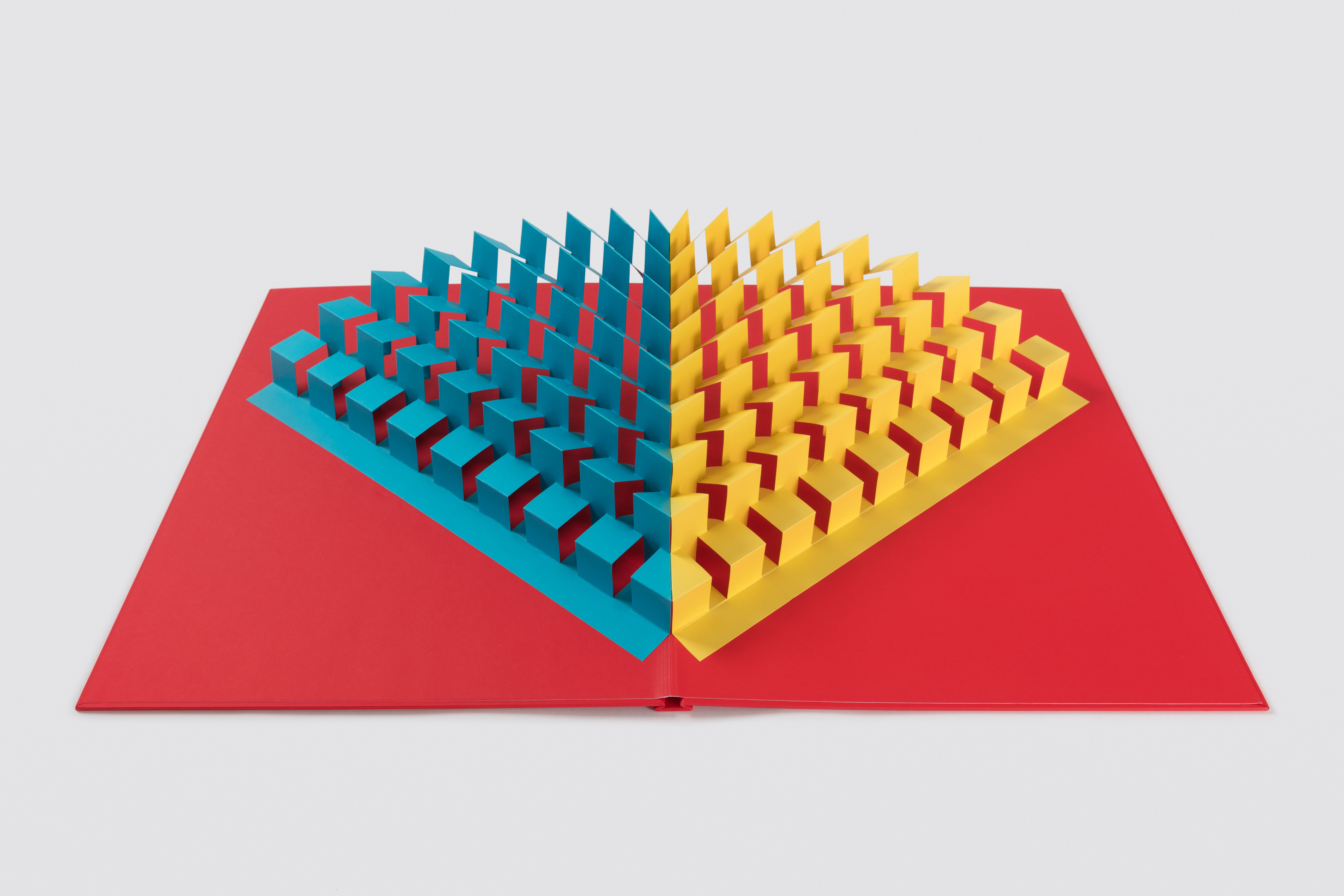 Tauba Auerbach / Paula Cooper Gallery