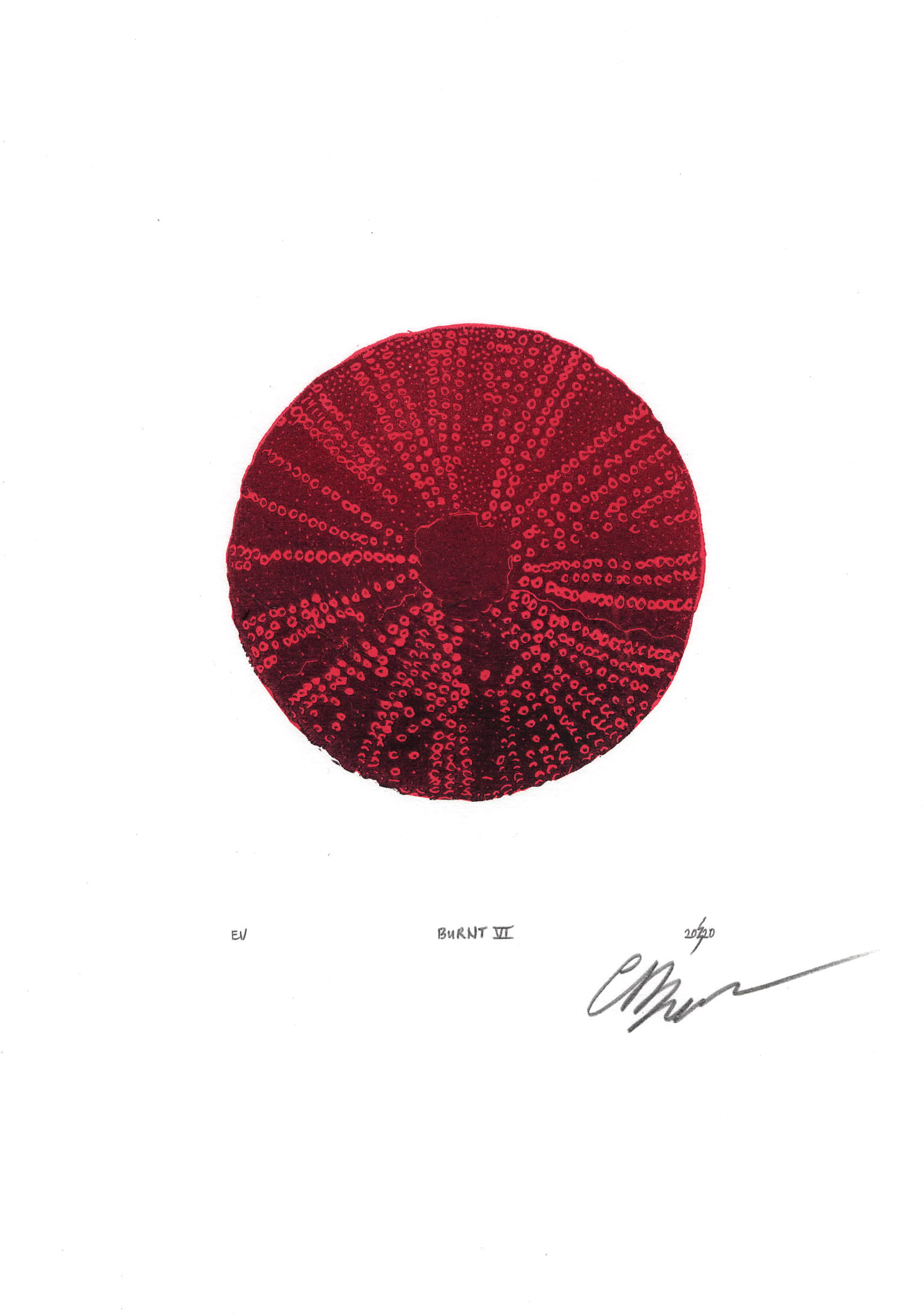 ︎ BURNT VI