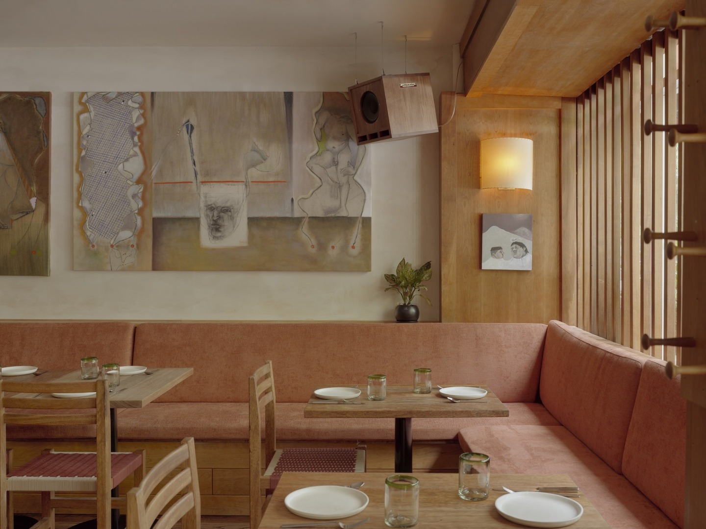 Comal. Photo: Sean Davidson