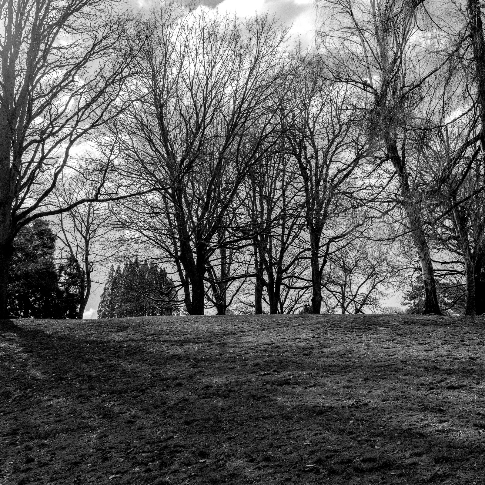 This area is typically filled with big dogs and owners with equally large personalities. The other day, my dog, who is on the smaller side, was minding her business when out of the sky dropped an obnoxious orange, semi-deflated soccer ball, closely followed by a boisterous black lab and an owner who was talking so loud on her cellphone it could probably be heard the next state over. 