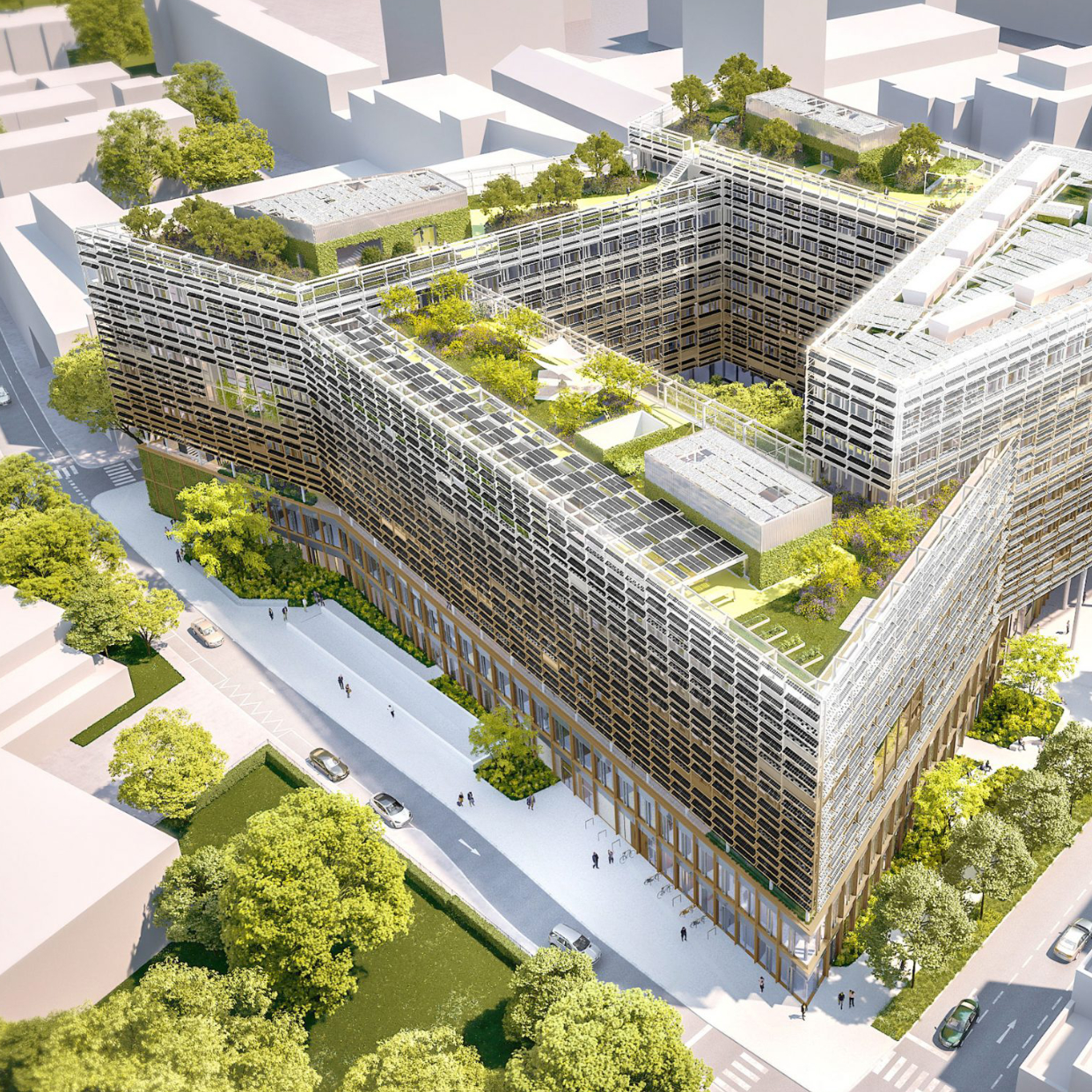 Rendering: (c) Zoom VP       	