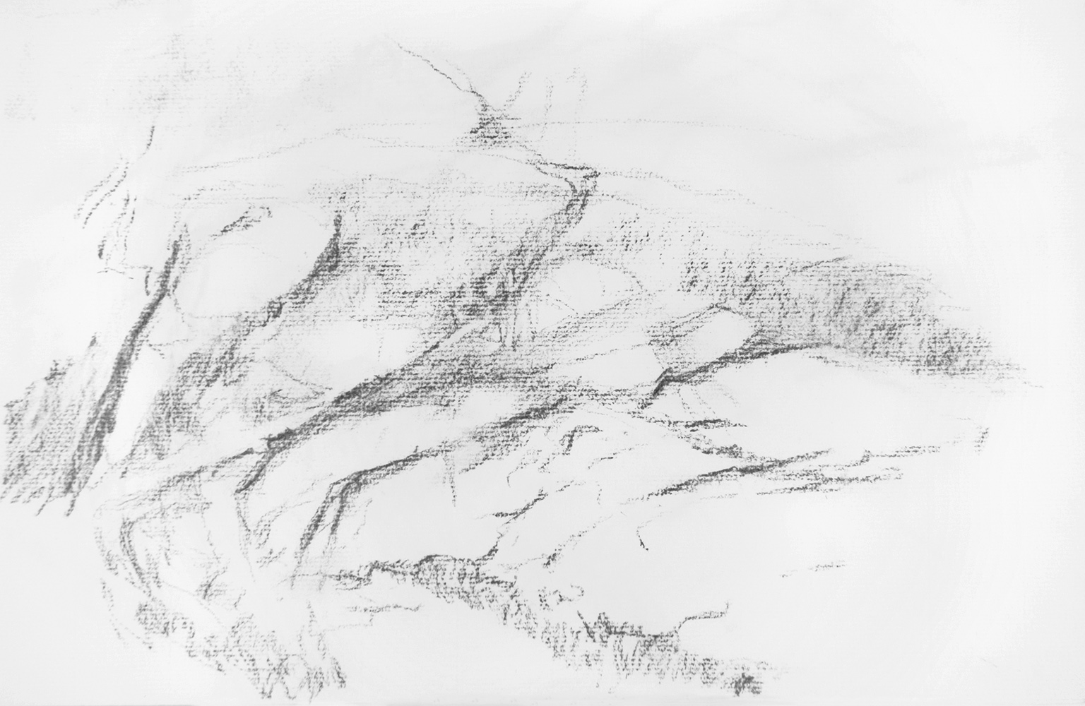 Paroi, Norvègefusain sur papierenv. 24 x 42 cm, 2008 