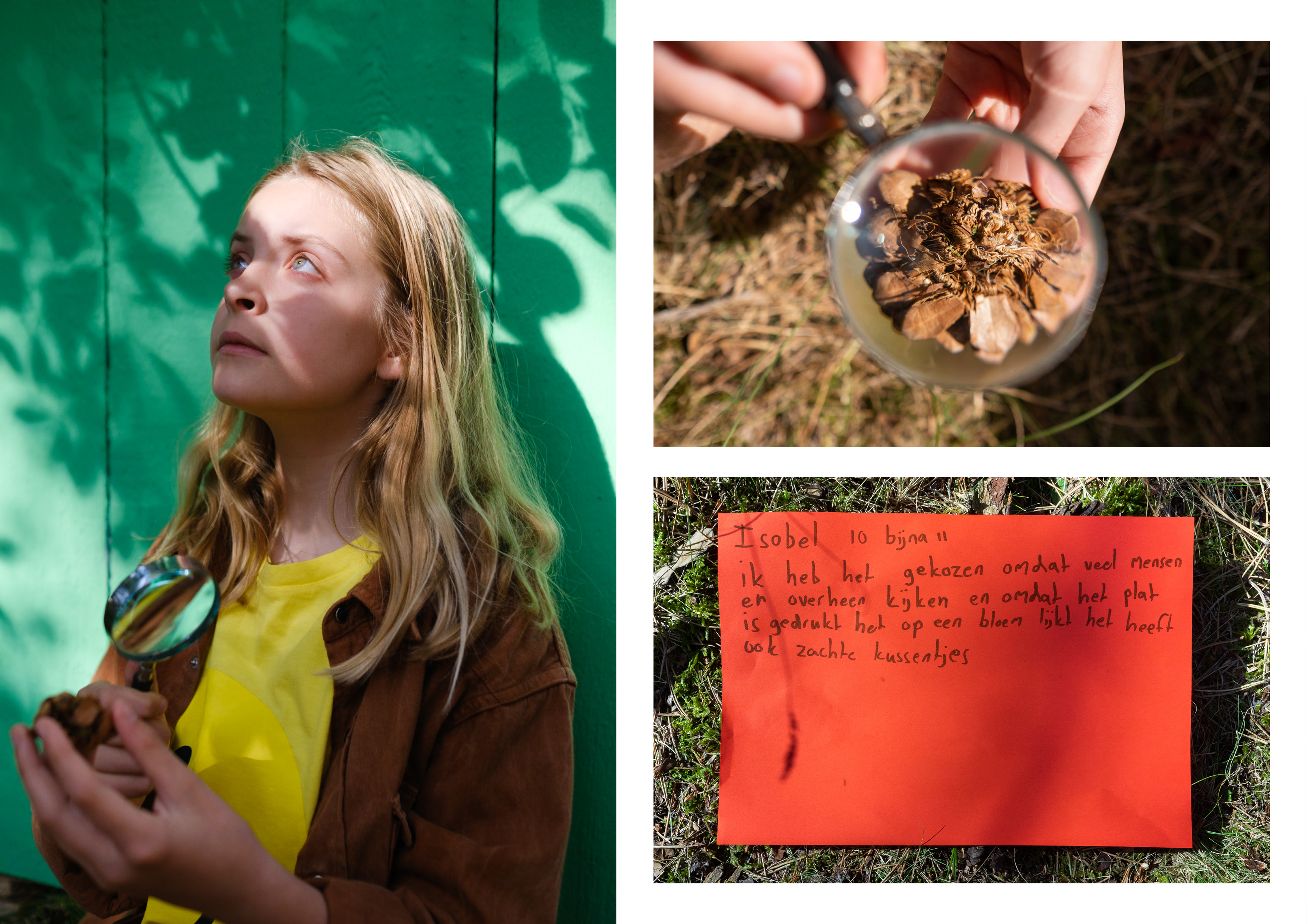 Isobel: "Ik heb het gekozen omdat veel mensen er overheen kijken en omdat het plat is gedrukt het op een bloem lijkt. Het heeft ook zachte kussentjes."