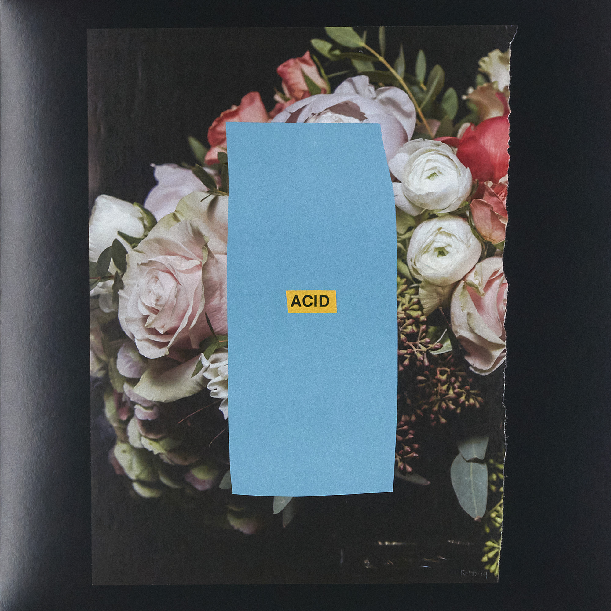 (2024) 12.25" x 12.25"